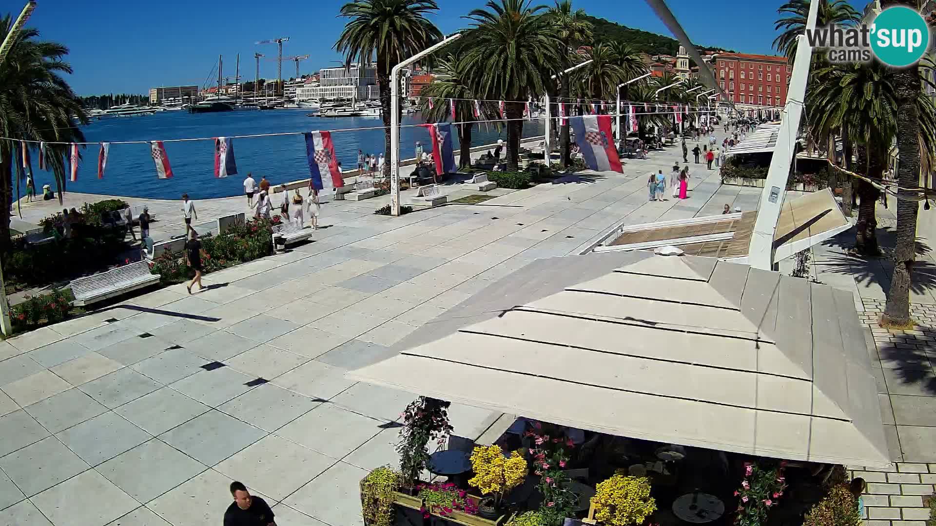 Split riva webcam