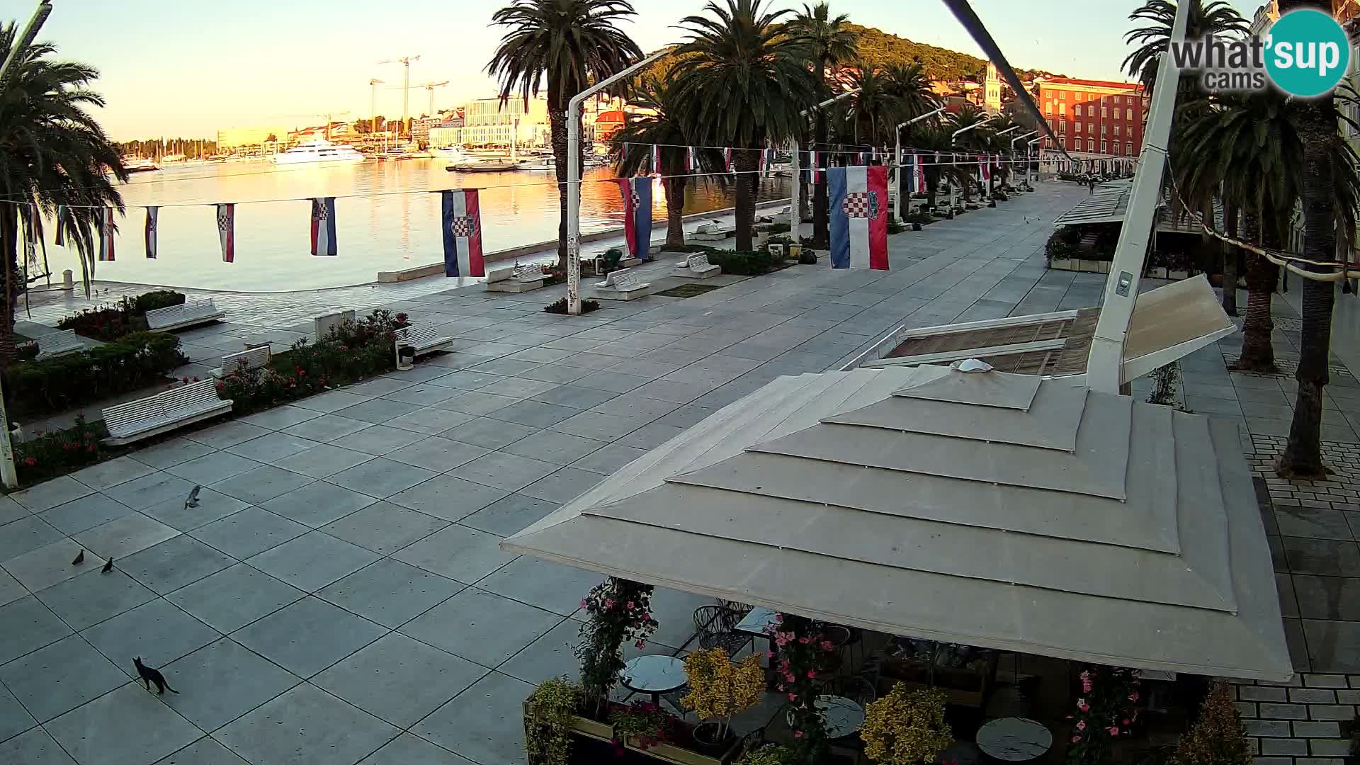 Livecam Split Riva
