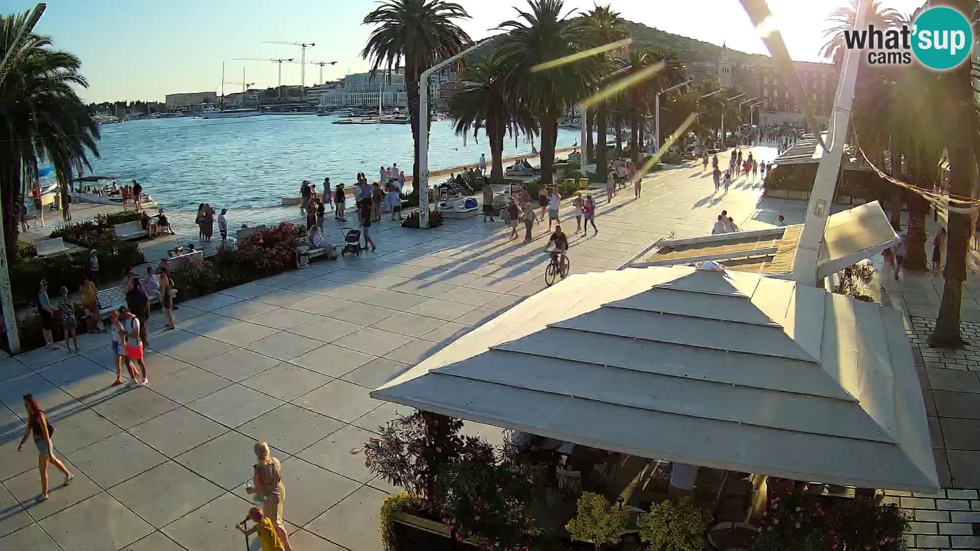 Split riva webcam