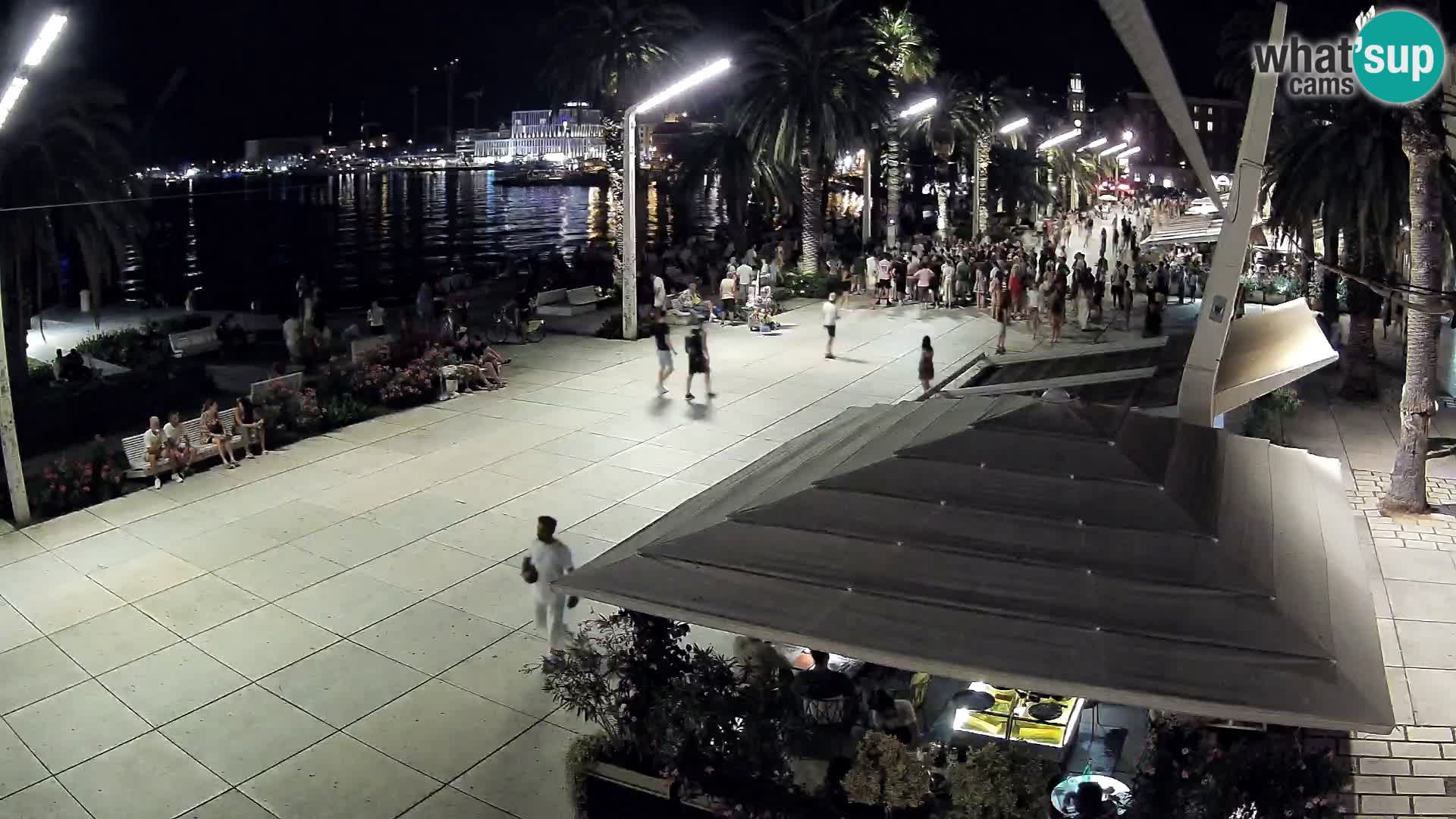 Split riva webcam