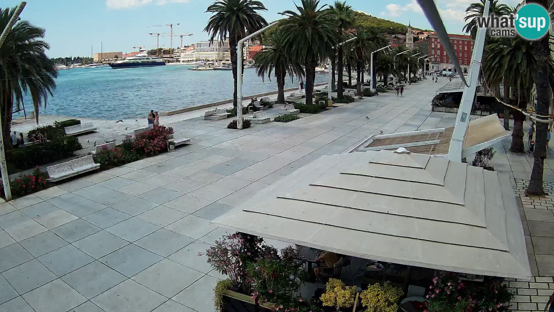 Split camera en vivo – Riva