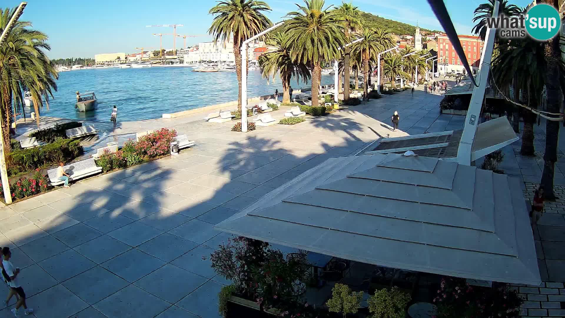 Split camera en vivo – Riva