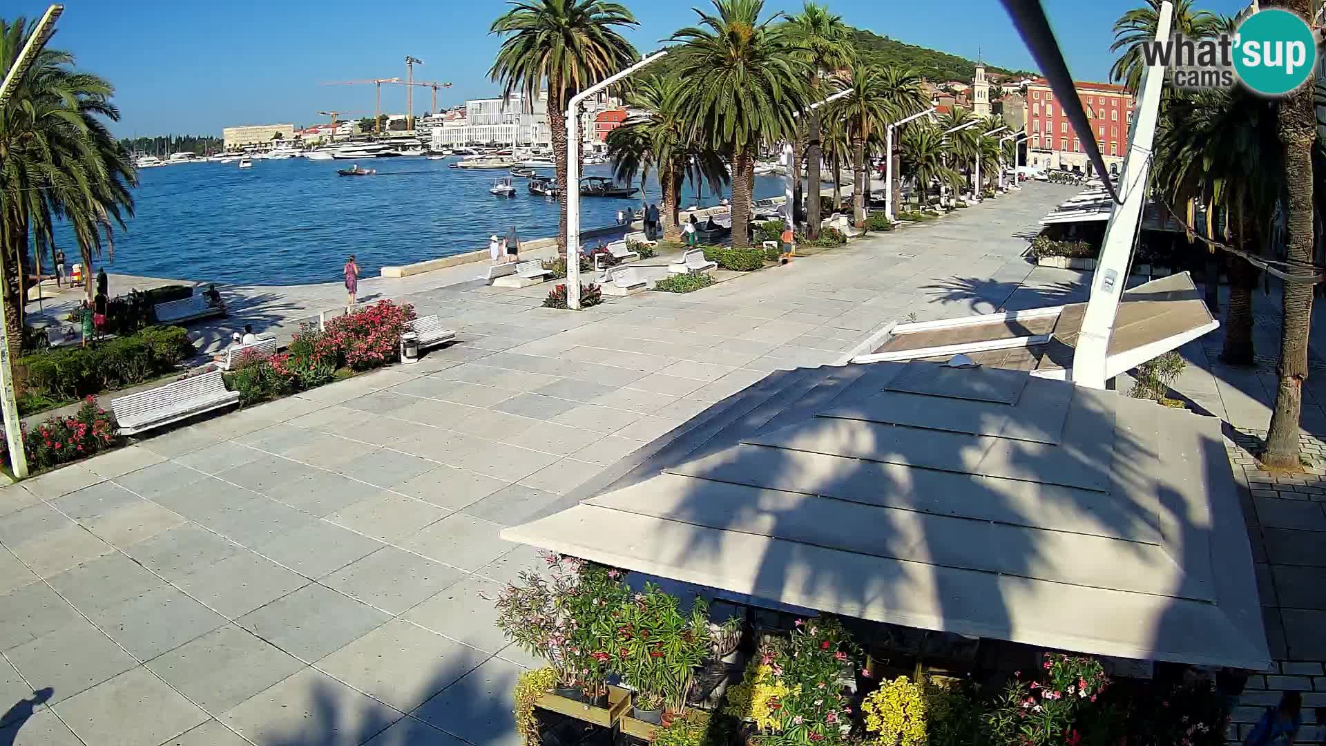 Split camera en vivo – Riva