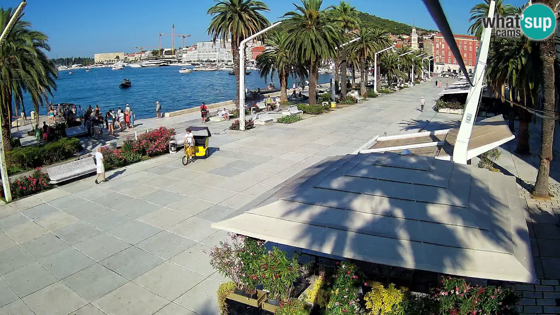 Split – Riva Hrvatskog preporoda