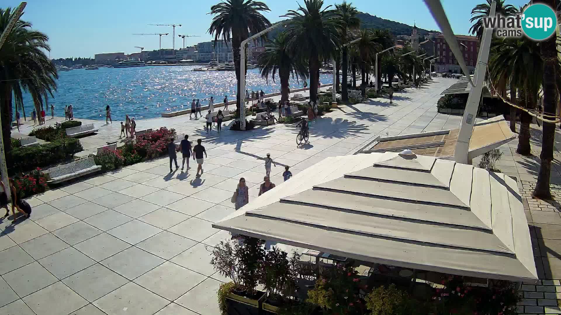 Split – Riva Hrvatskog preporoda