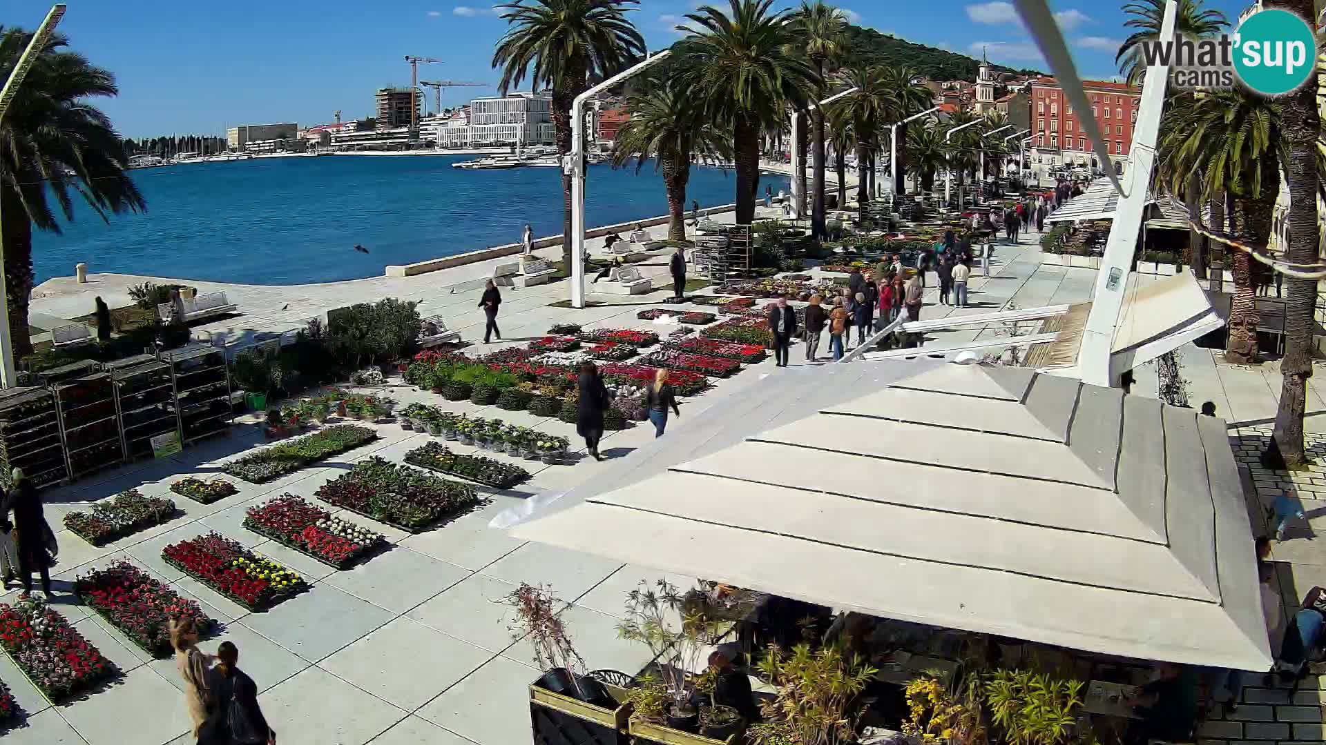 Split – pogled na splitsko rivo