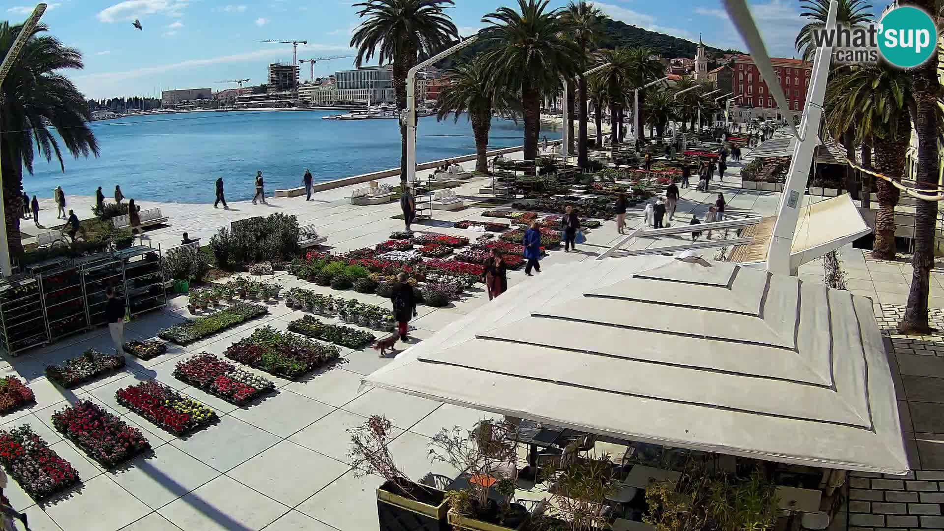 Split –  Blick auf Split riva