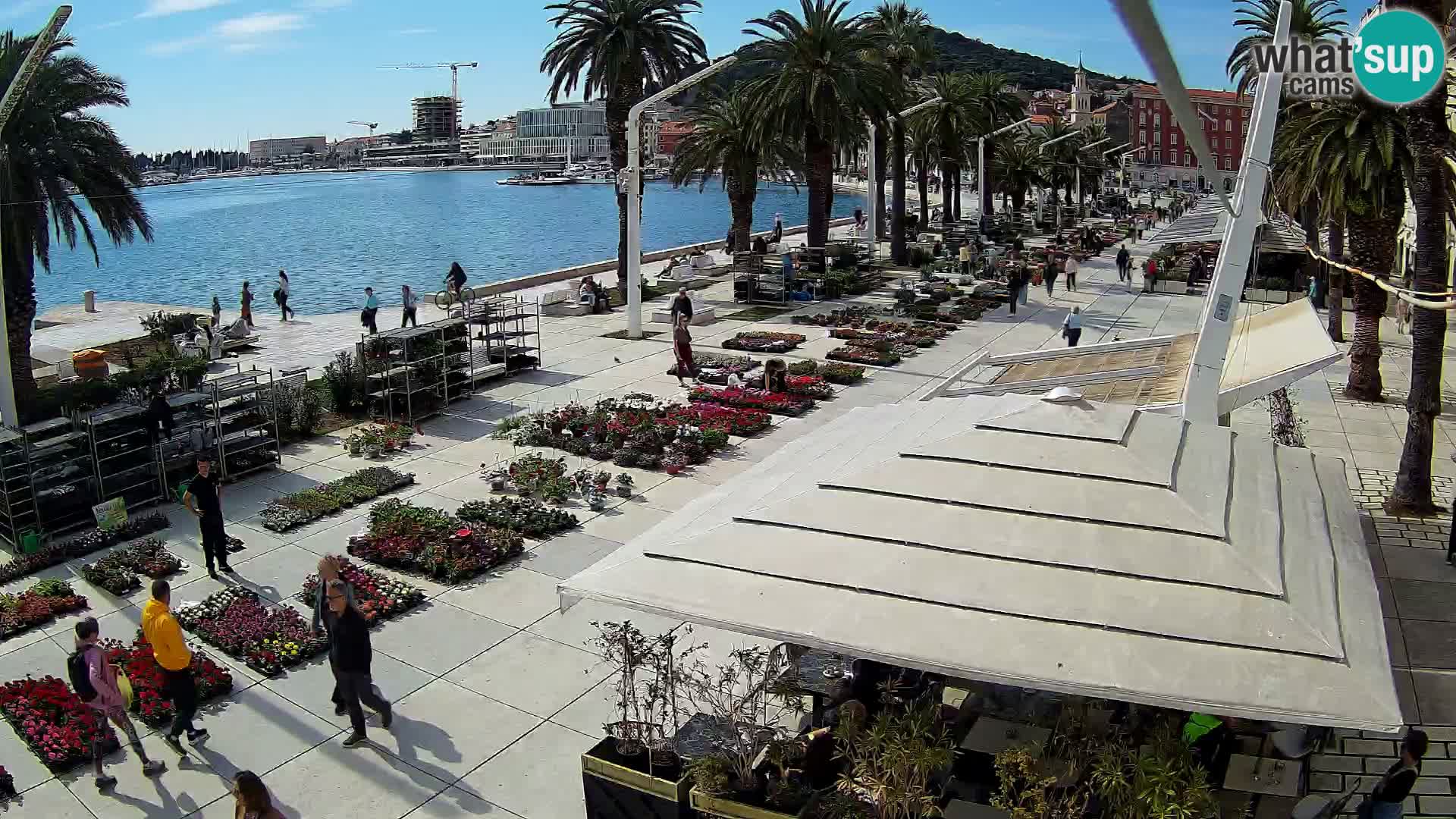 Split – Riva Hrvatskog preporoda