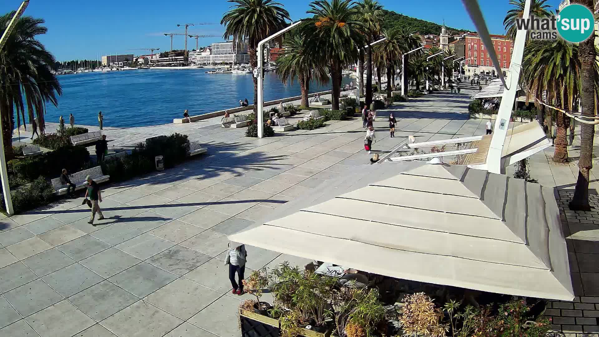 Webcam - Split