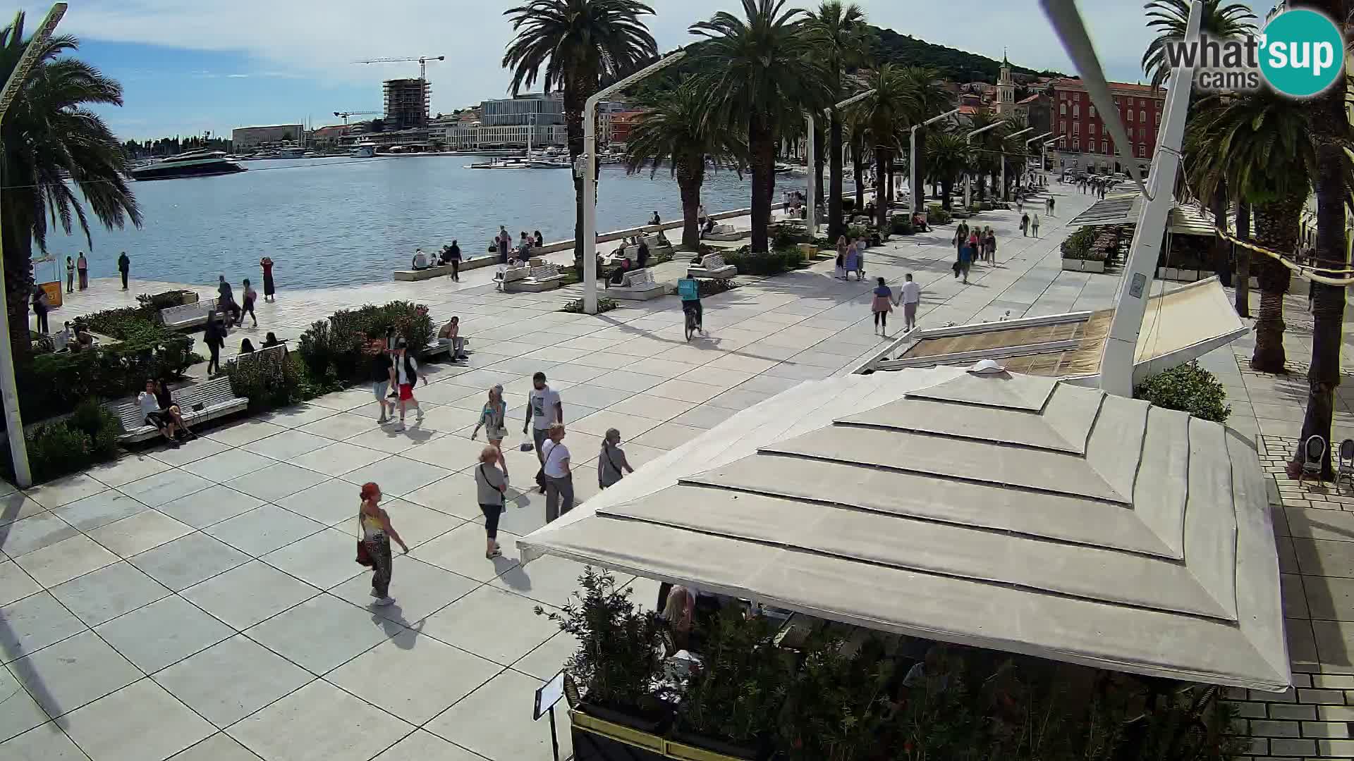 Webcam - Split