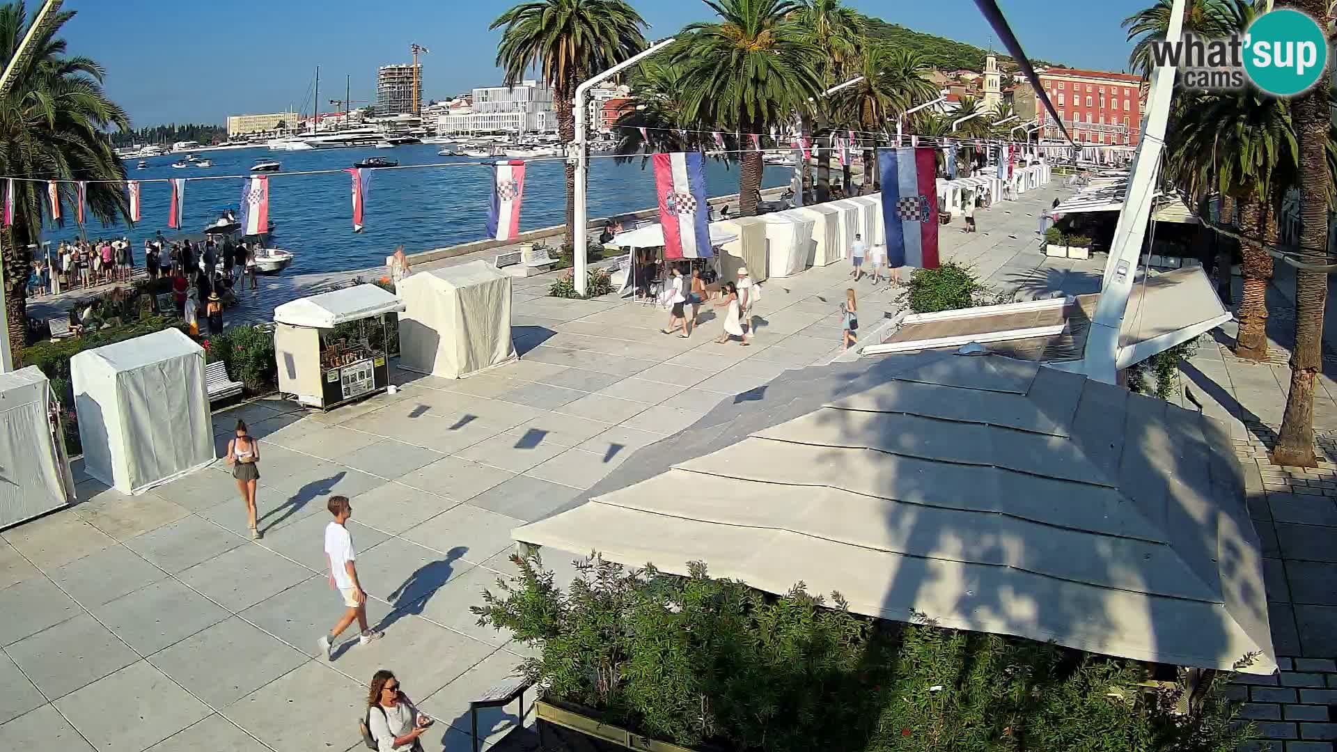 Webcam - Split