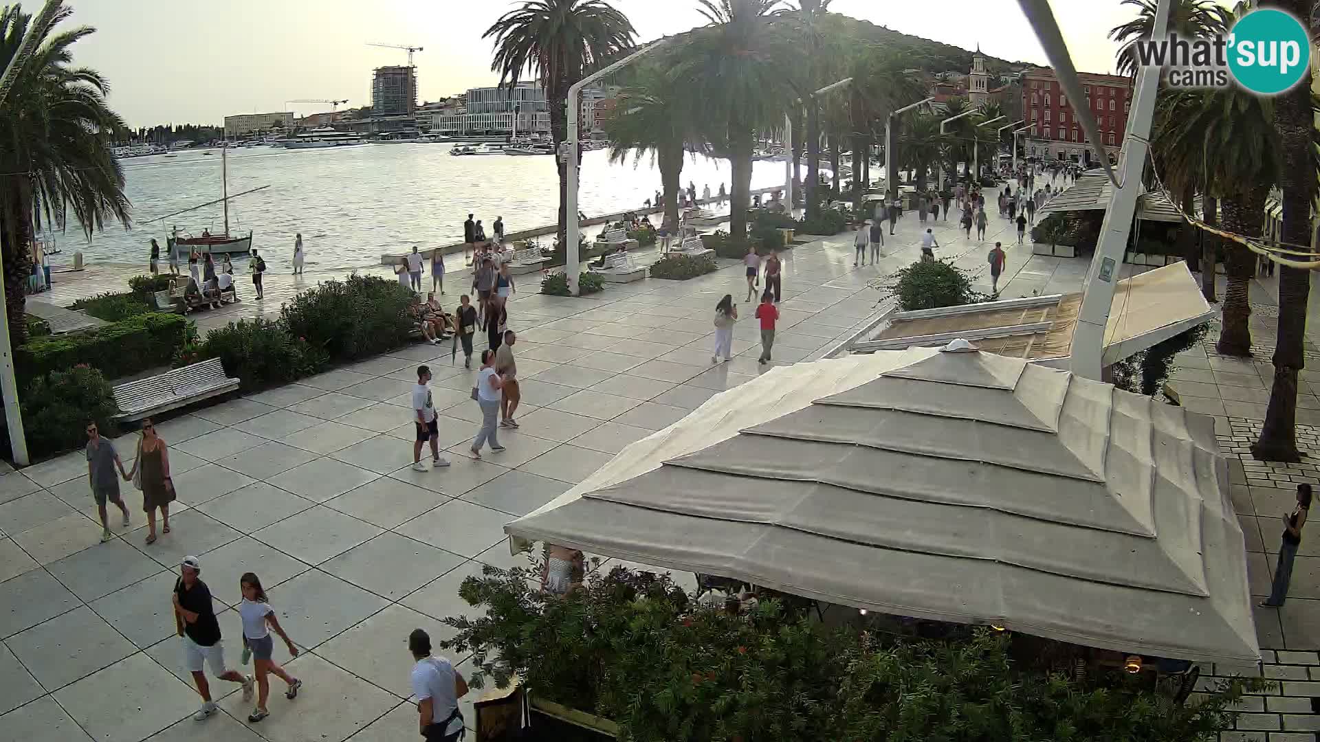 Webcam - Split