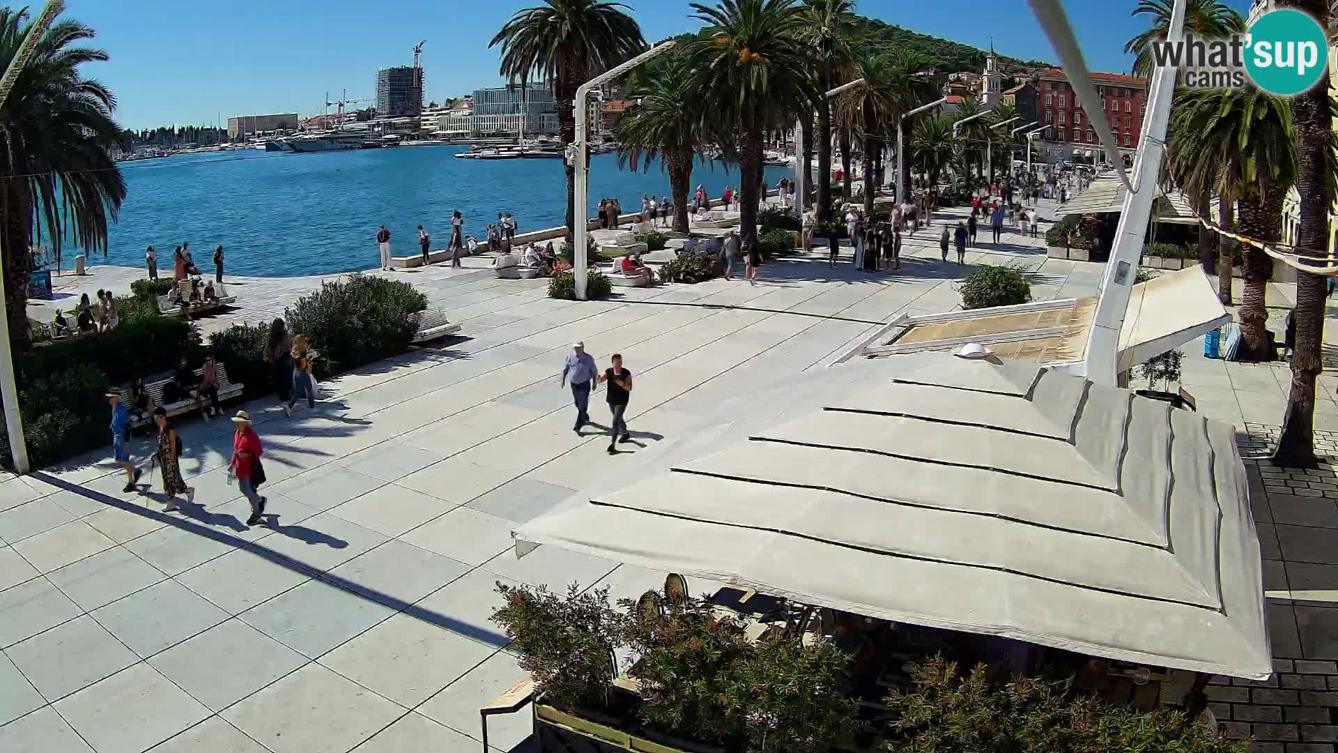 Webcam - Split