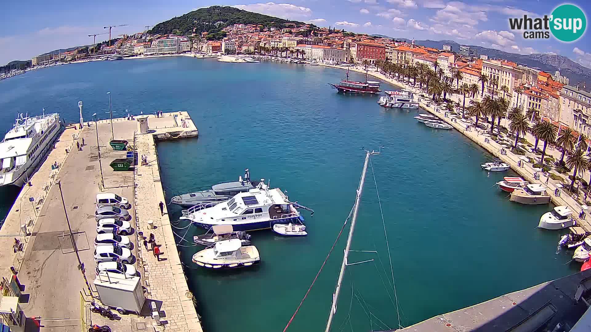 Split panorama en vivo