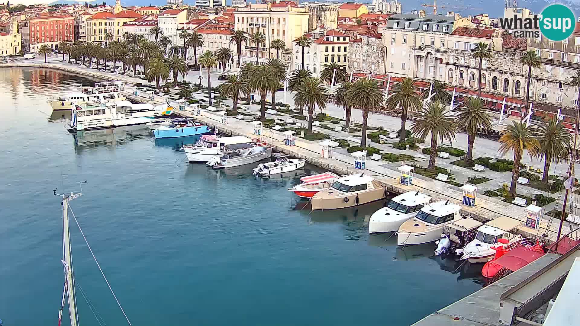 Split v živo panoramska kamera