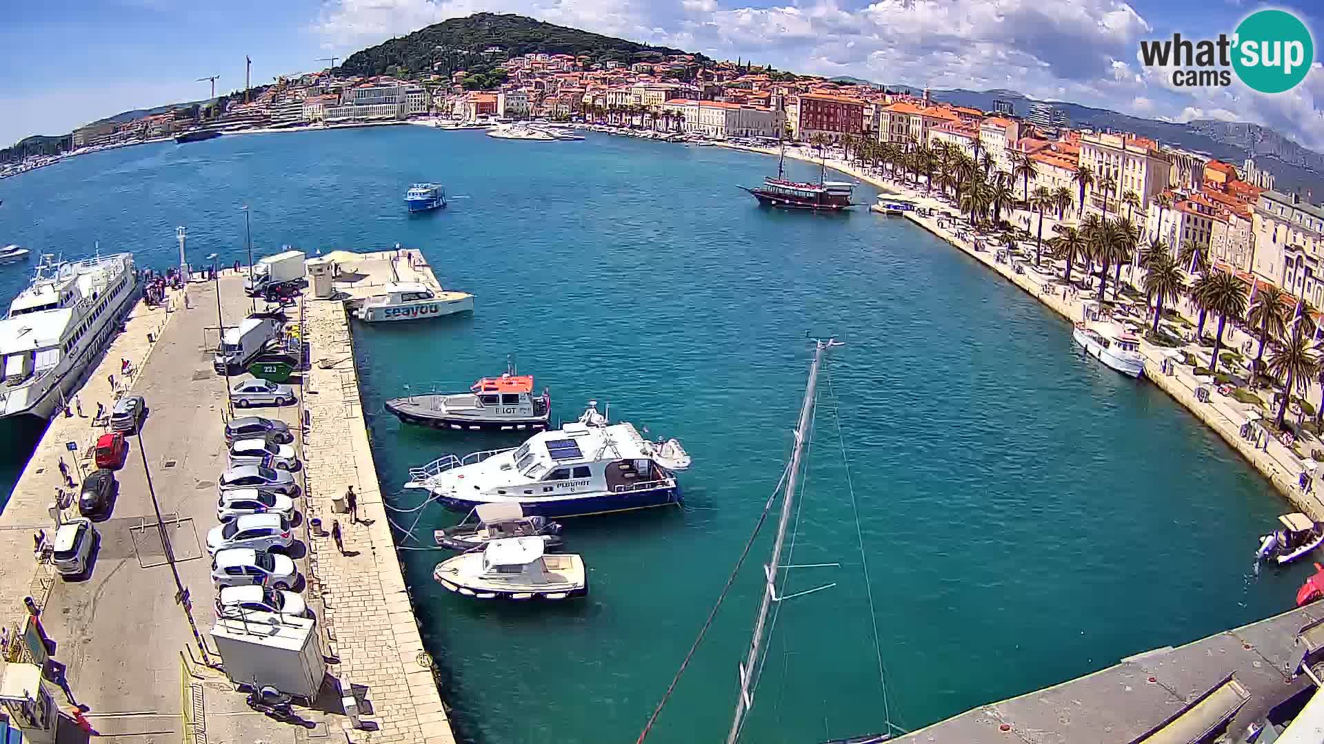 Webcam LIVE Split riva and port