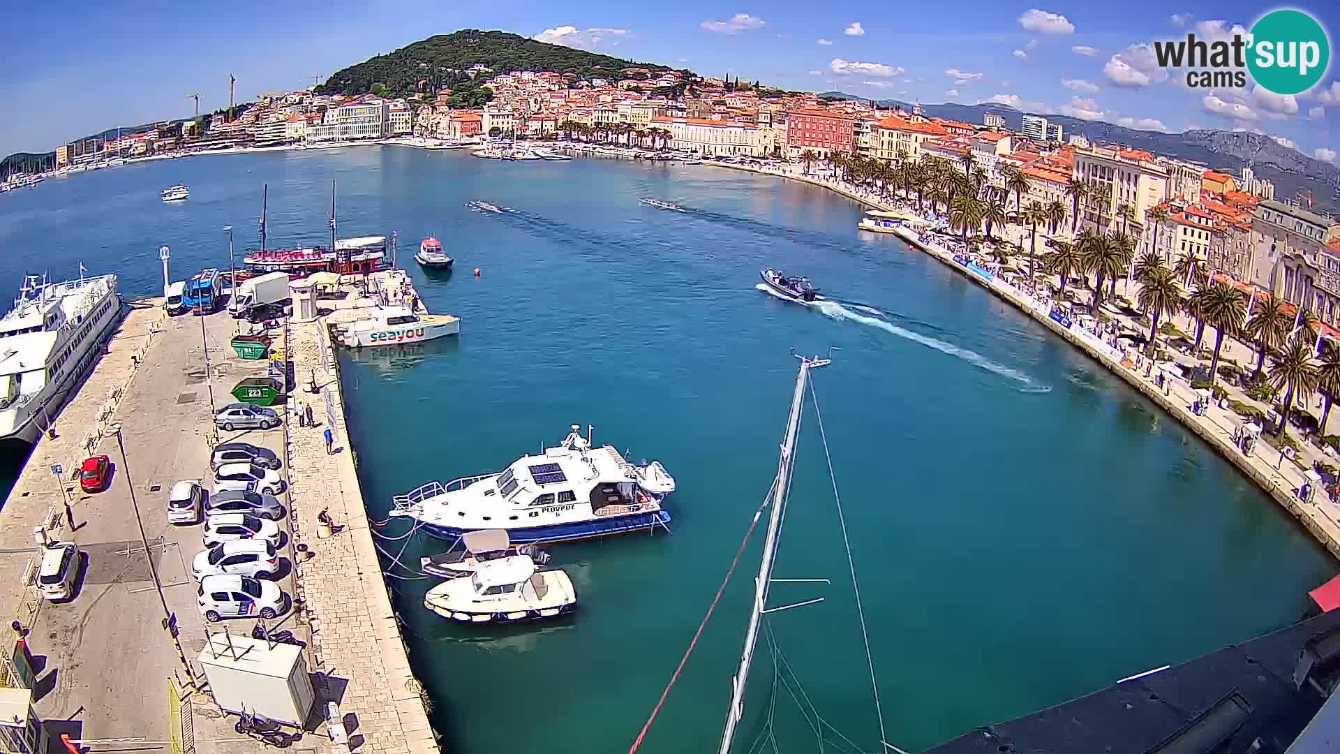 Split panorama en vivo
