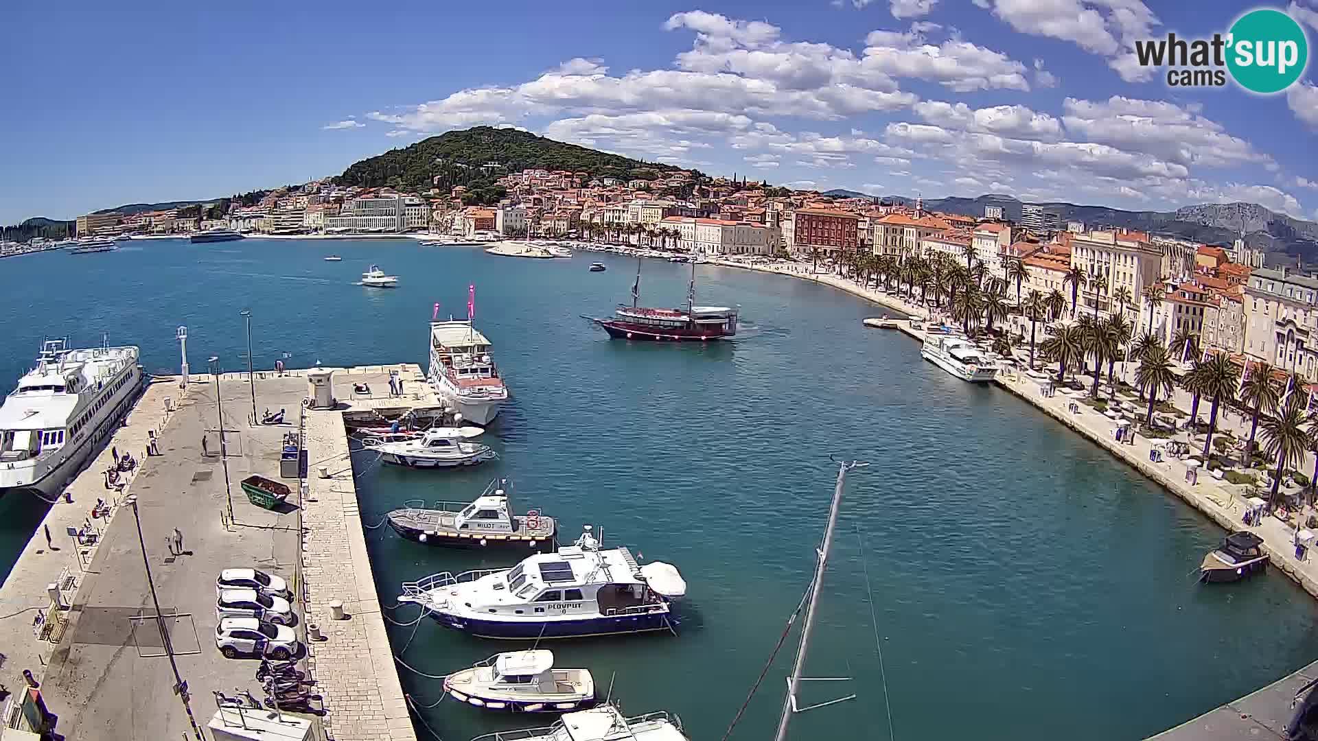 Split livecam panorama