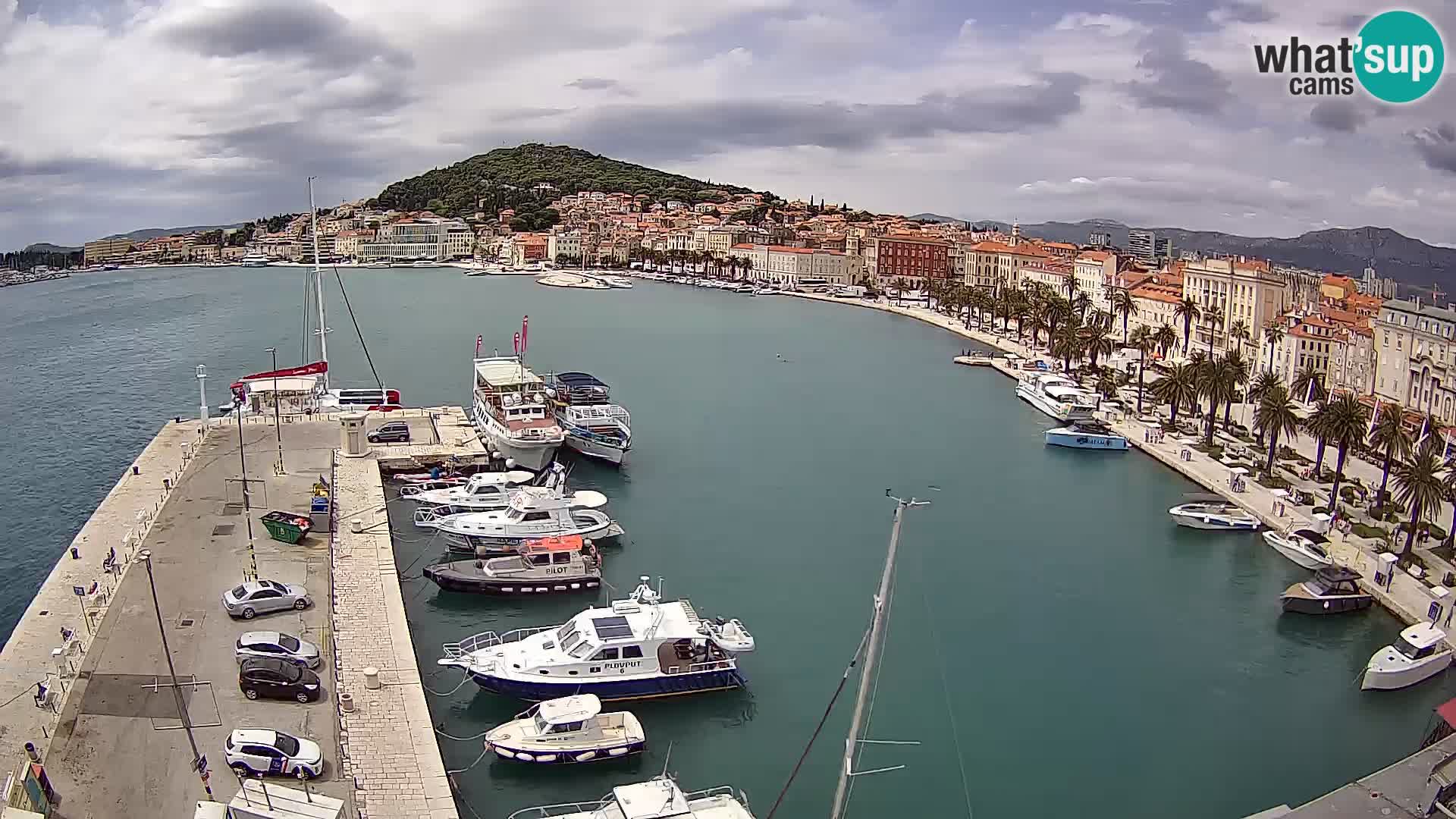 Camera en vivo Split puerto