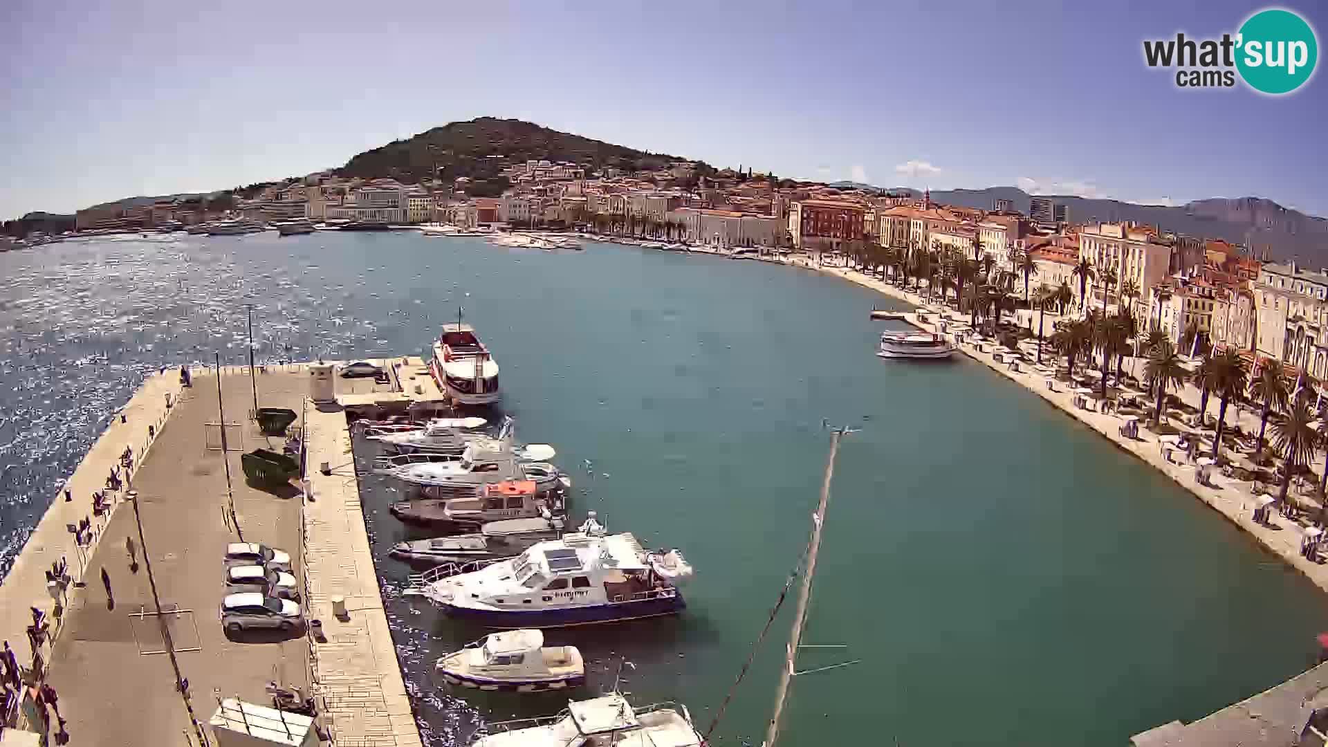 Webcam LIVE Split riva and port