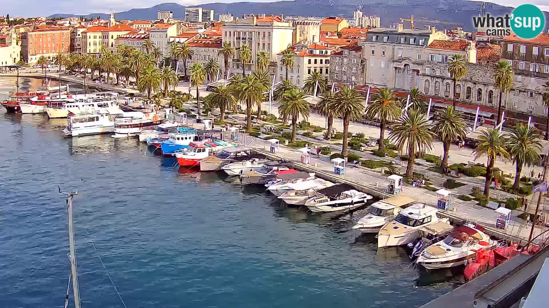 Split livecam panorama