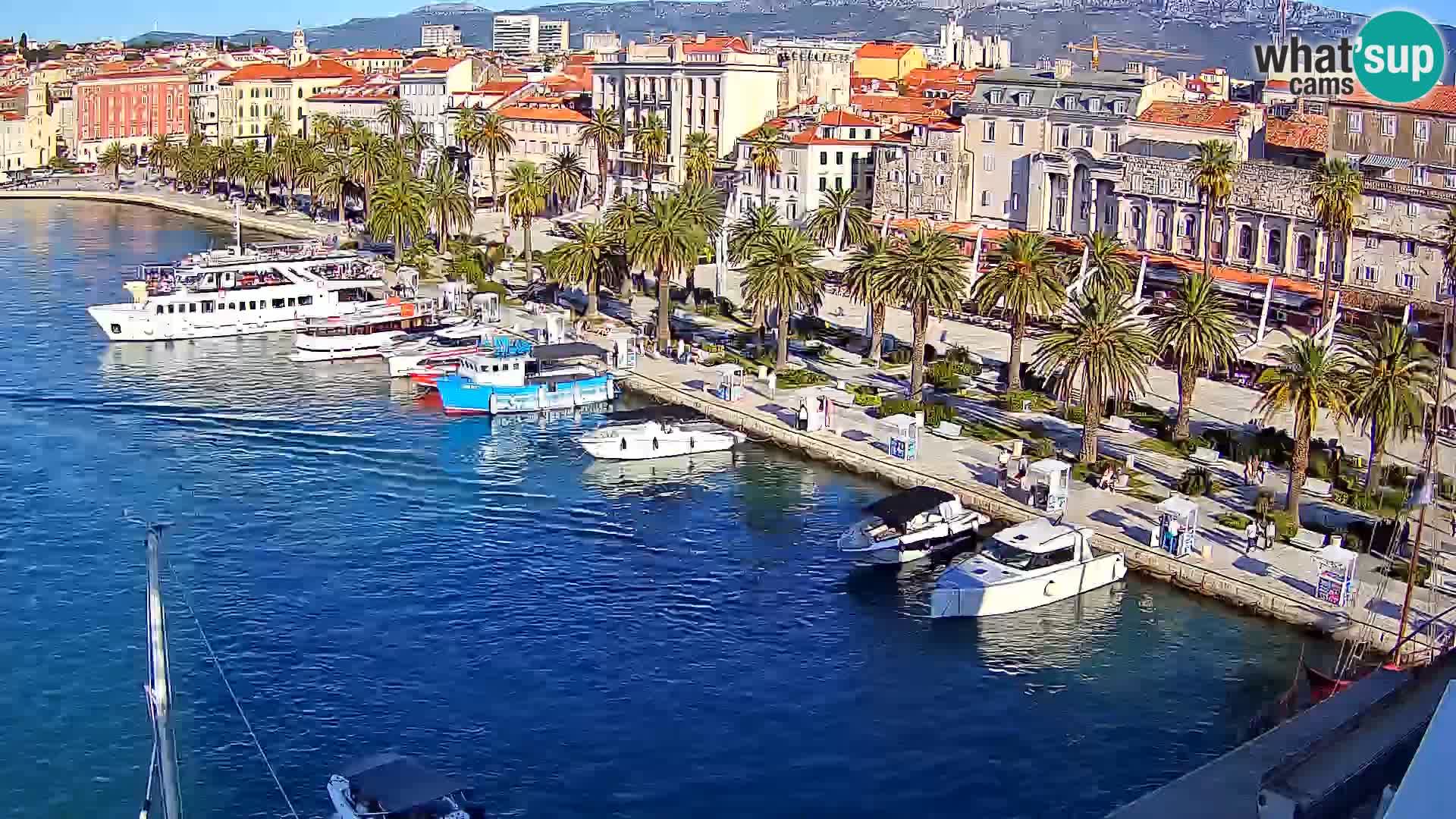 Split v živo panoramska kamera