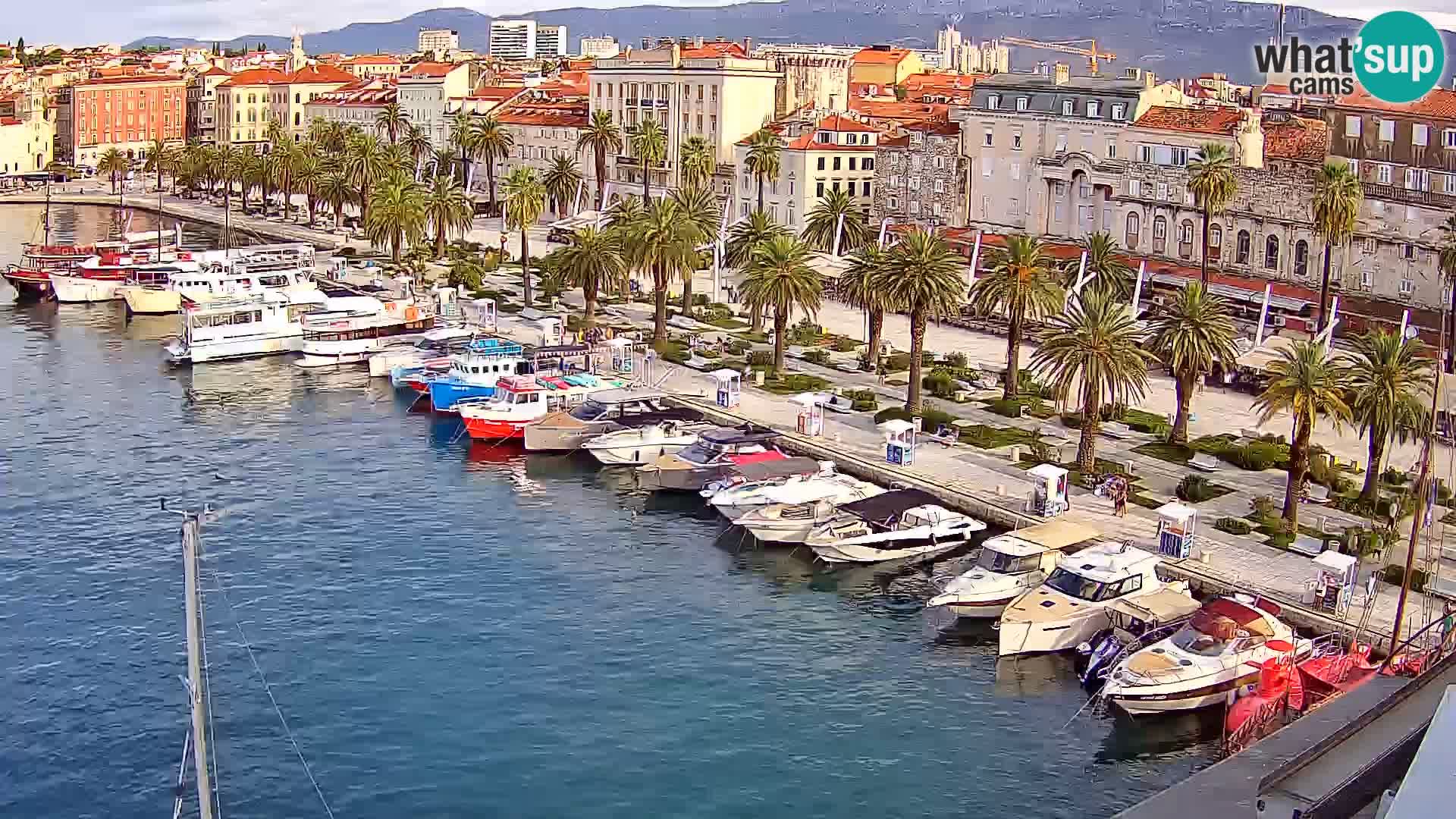 Split v živo panoramska kamera