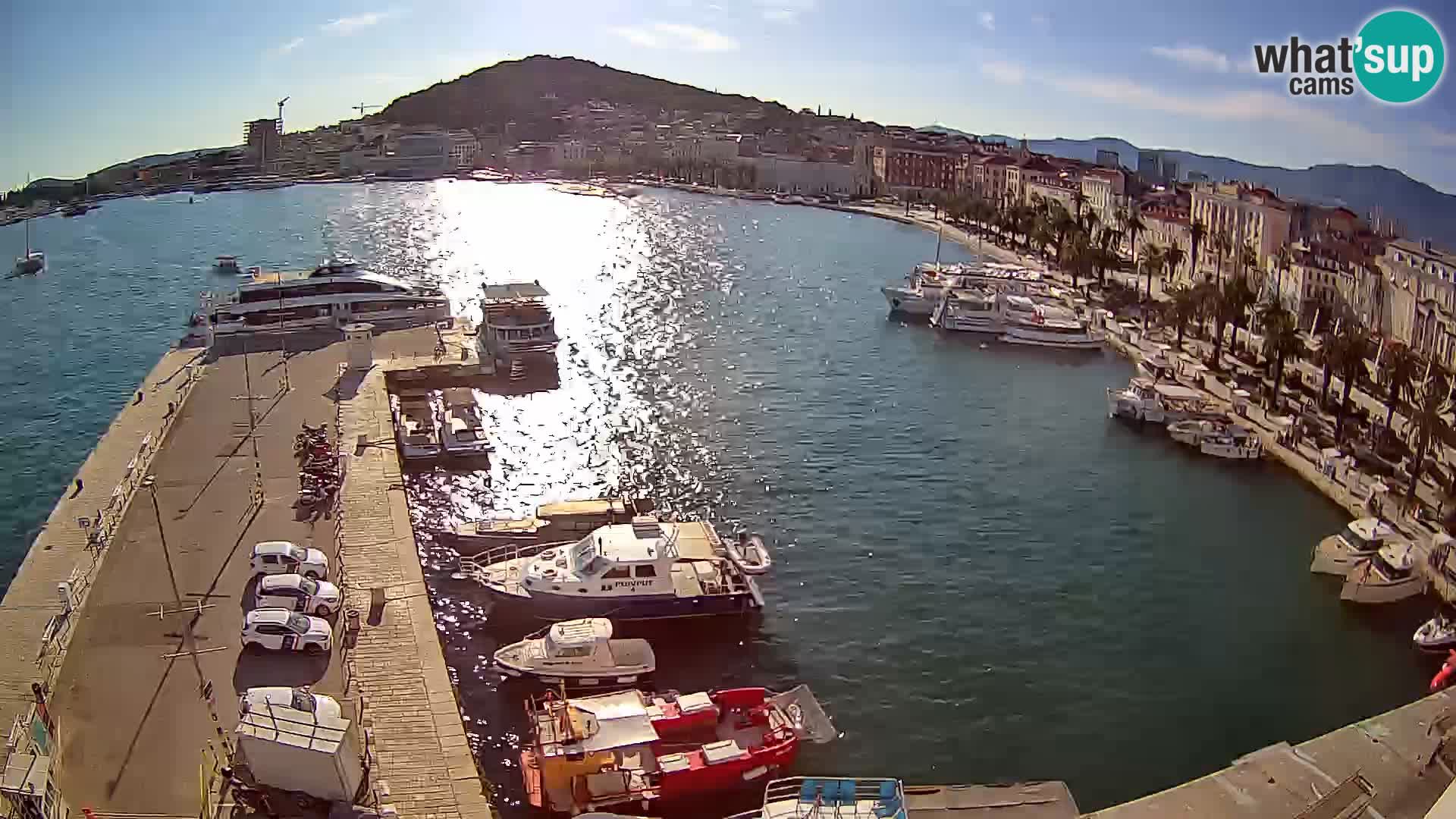 Live Webcam Split view of Split riva WhatsUpCams LIVE streaming