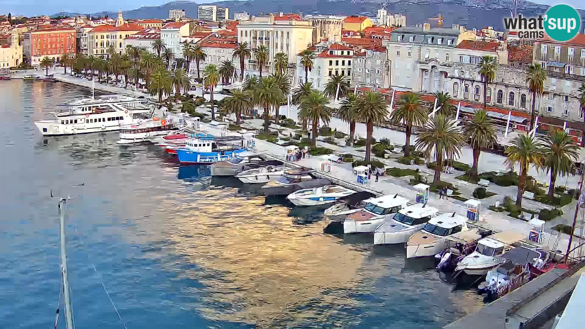 Split panorama en vivo