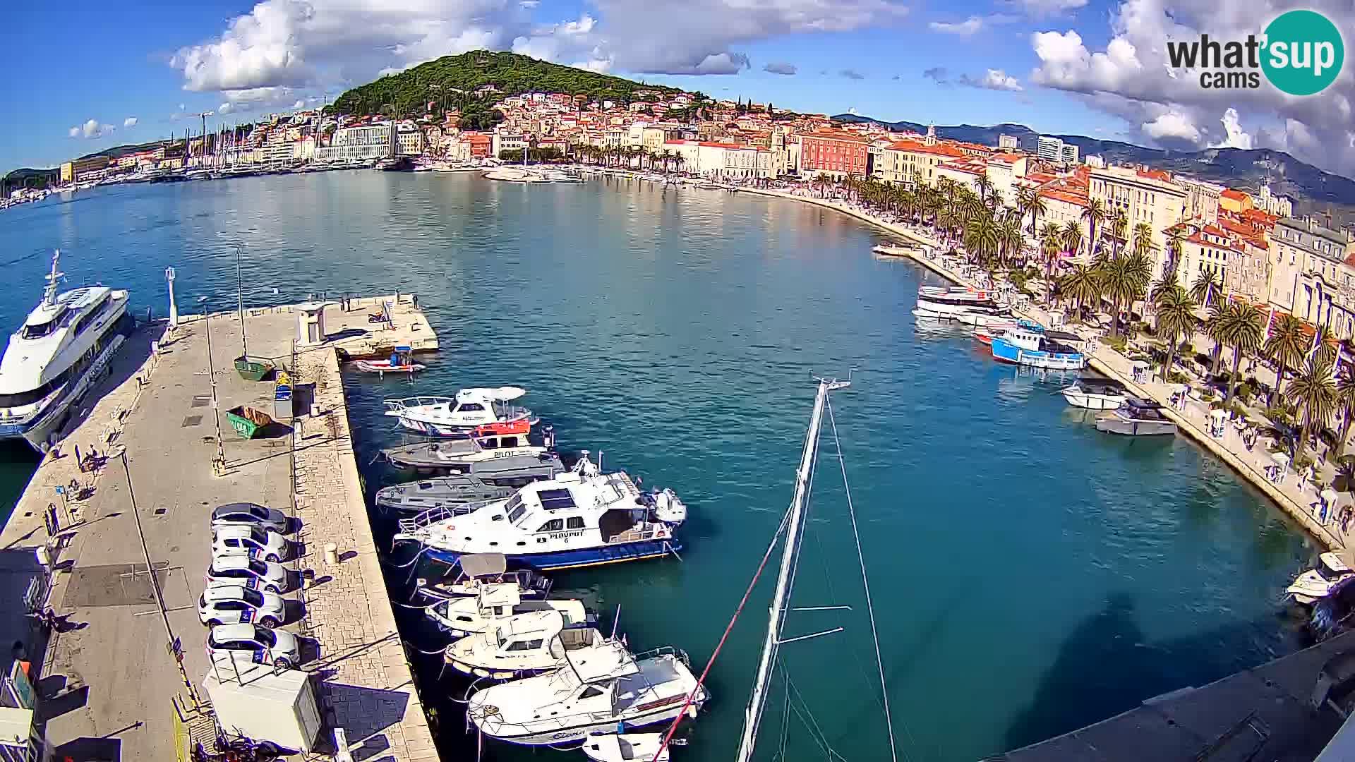 Split panorama en vivo