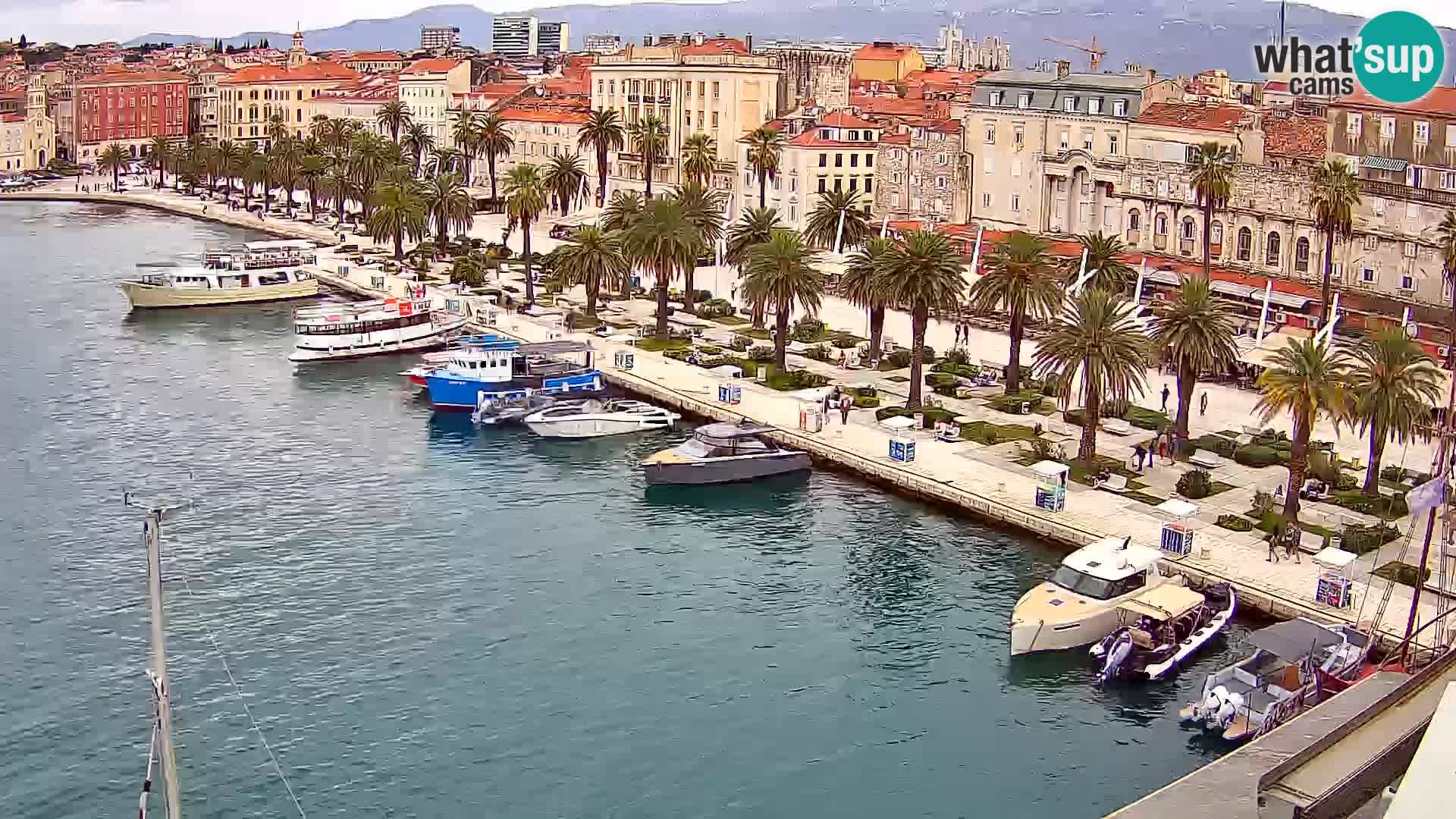 Split v živo panoramska kamera