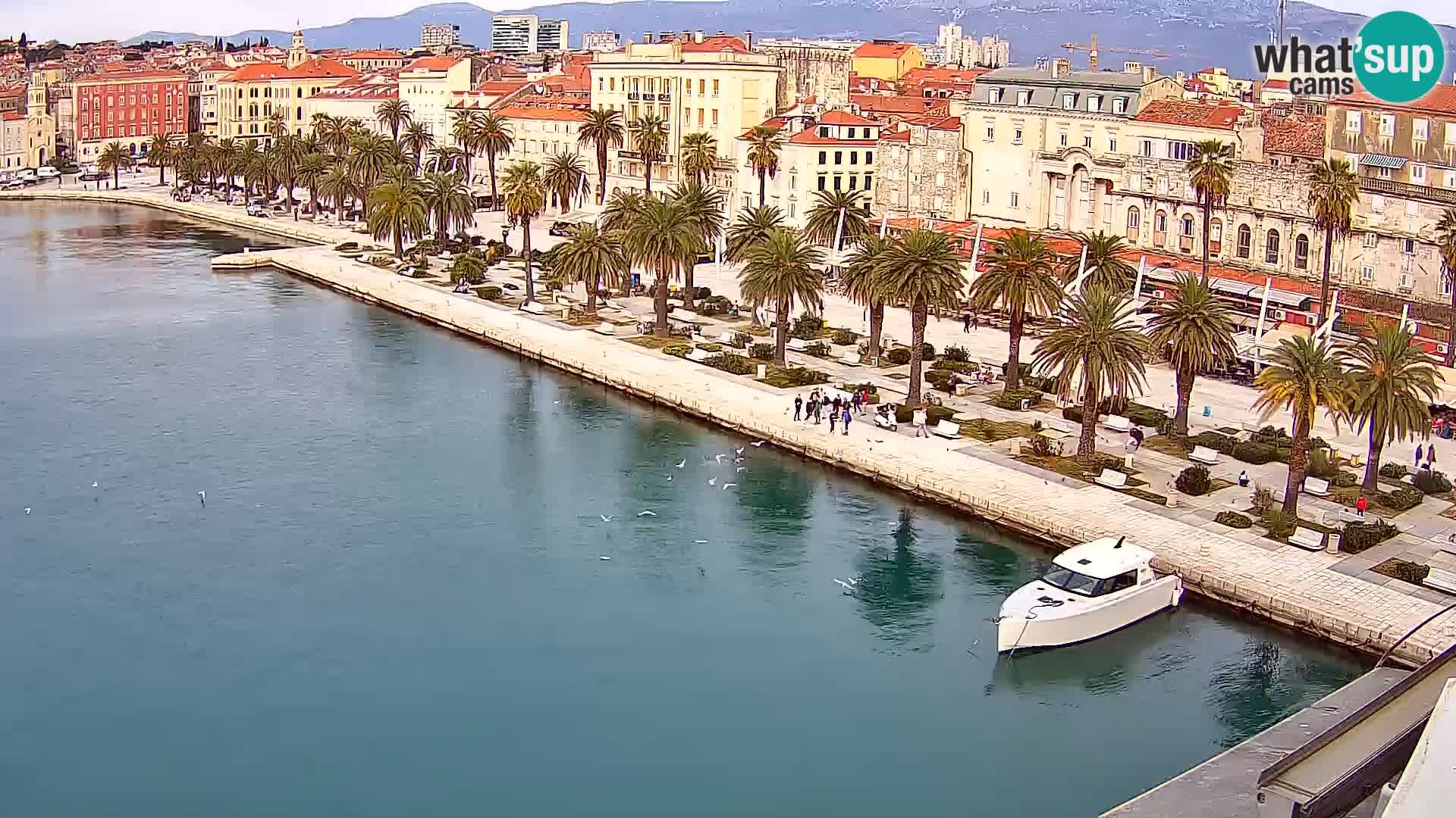 Webcam live Spalato riva e porto