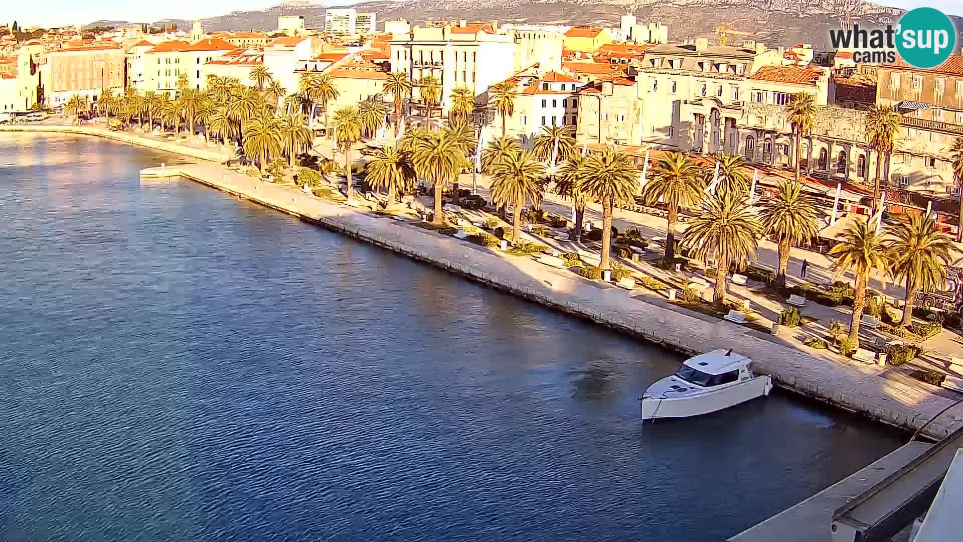 Split v živo panoramska kamera