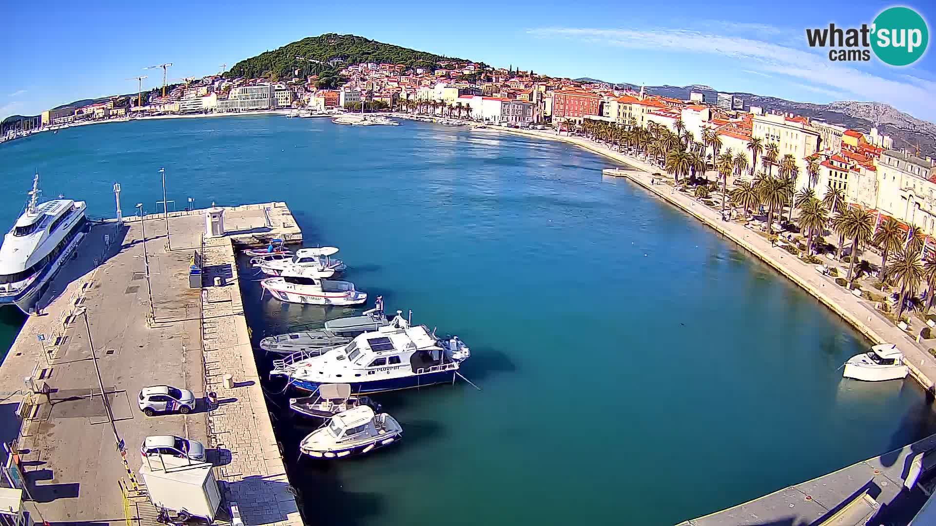 Split panorama en vivo