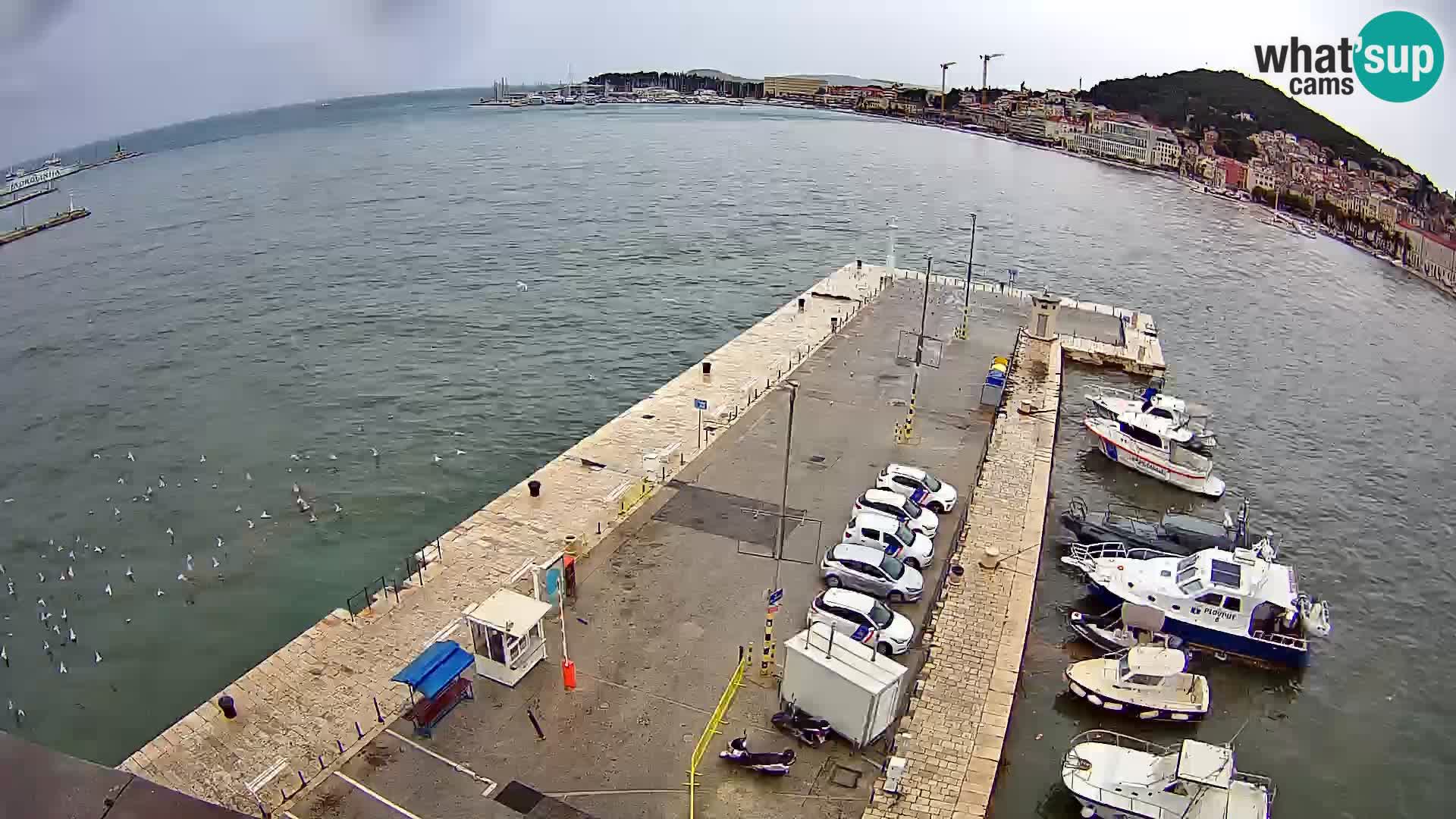 Webcam Split Dalmatia