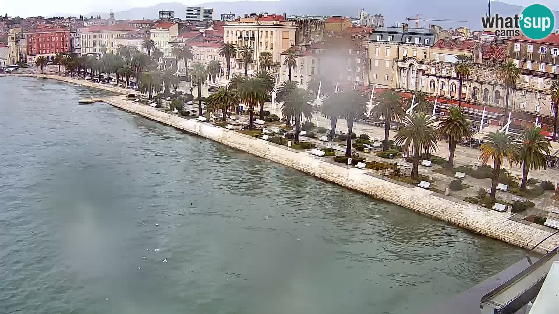 Split v živo panoramska kamera