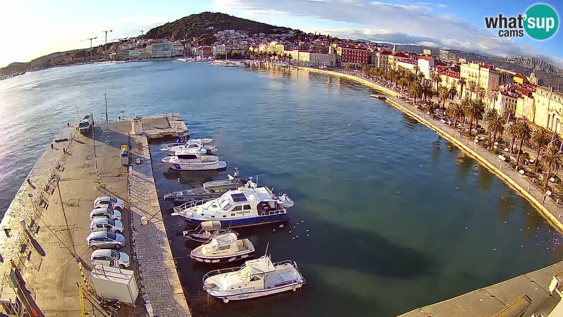 Split v živo panoramska kamera