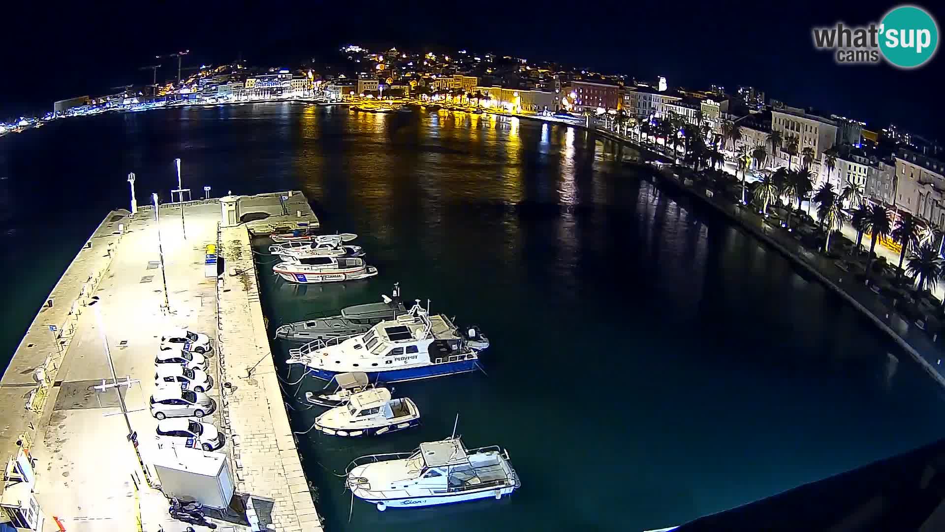 Split v živo panoramska kamera