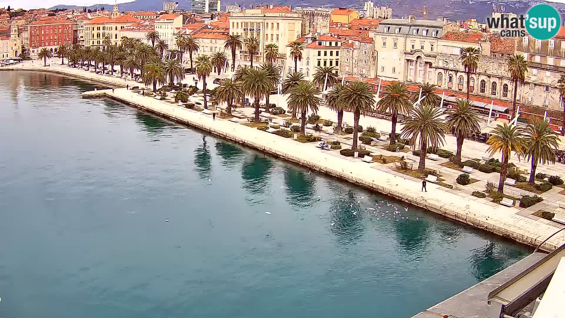 Webcam live Spalato riva e porto