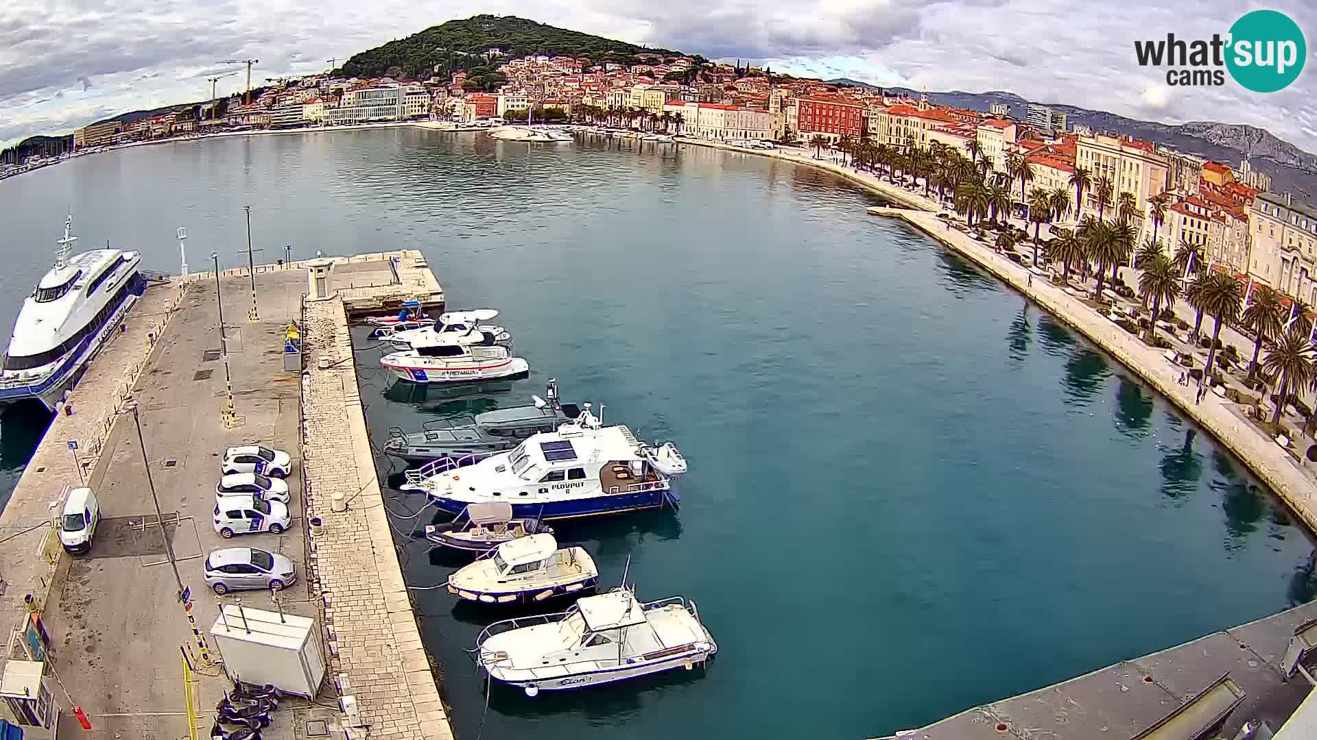 Split v živo panoramska kamera