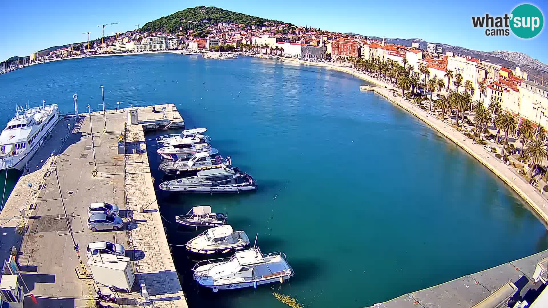 Split v živo panoramska kamera