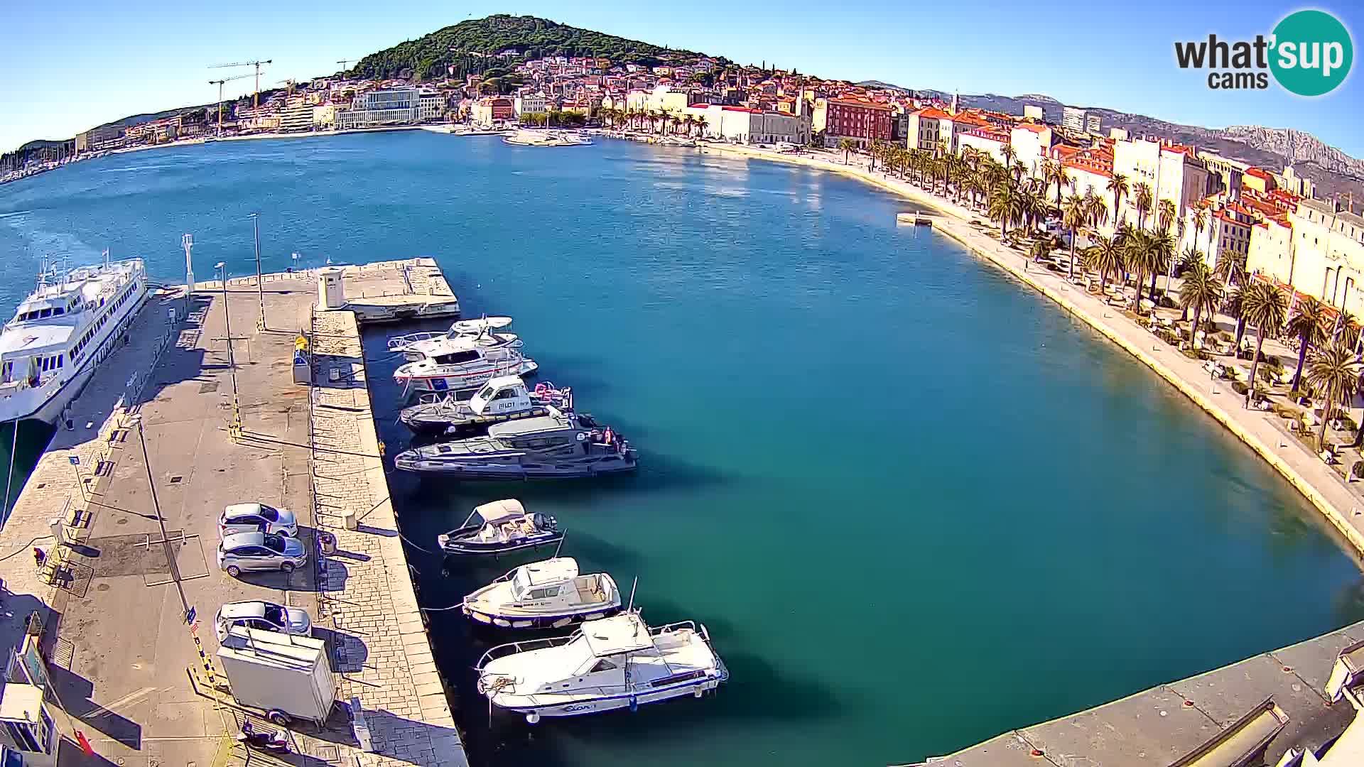 Split panorama en vivo