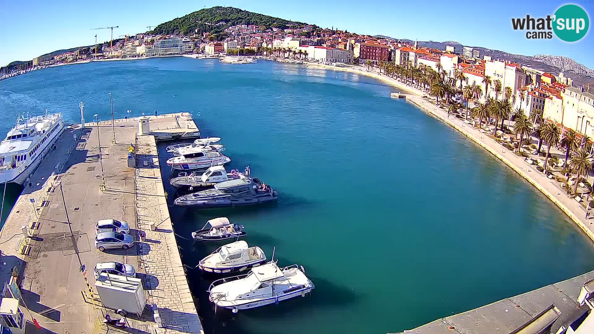 Split v živo panoramska kamera