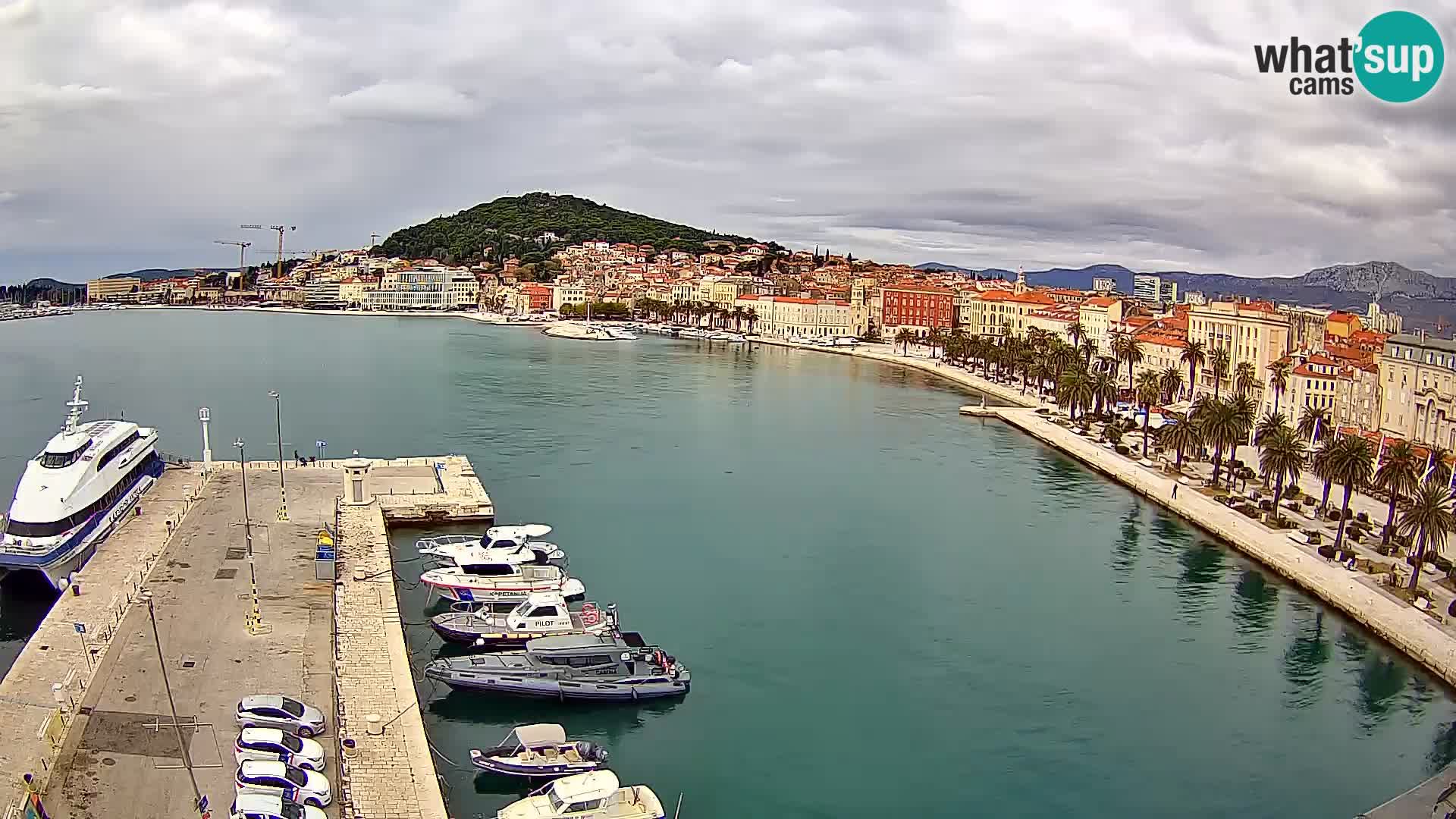 Split v živo panoramska kamera