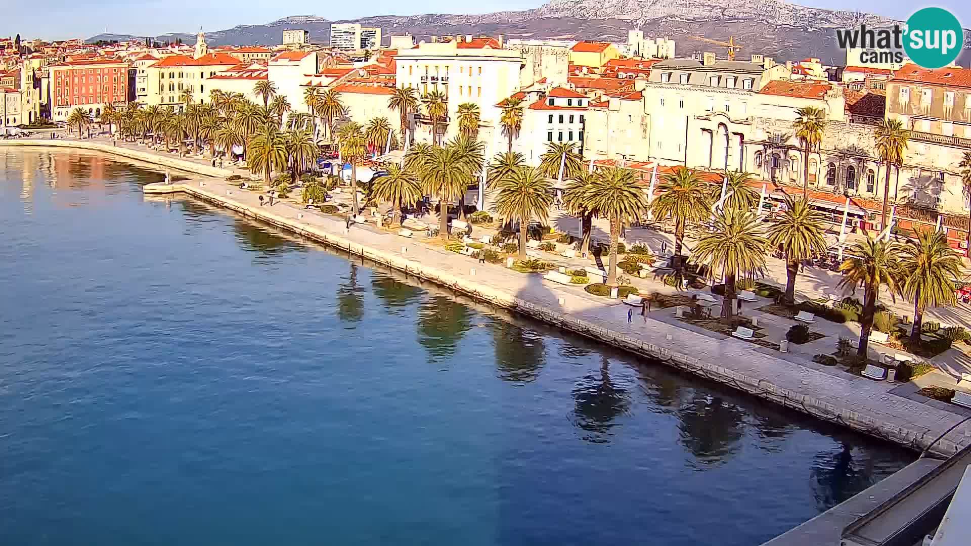 Split v živo panoramska kamera