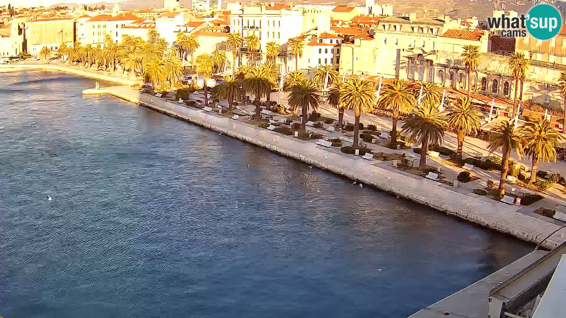 Split v živo panoramska kamera