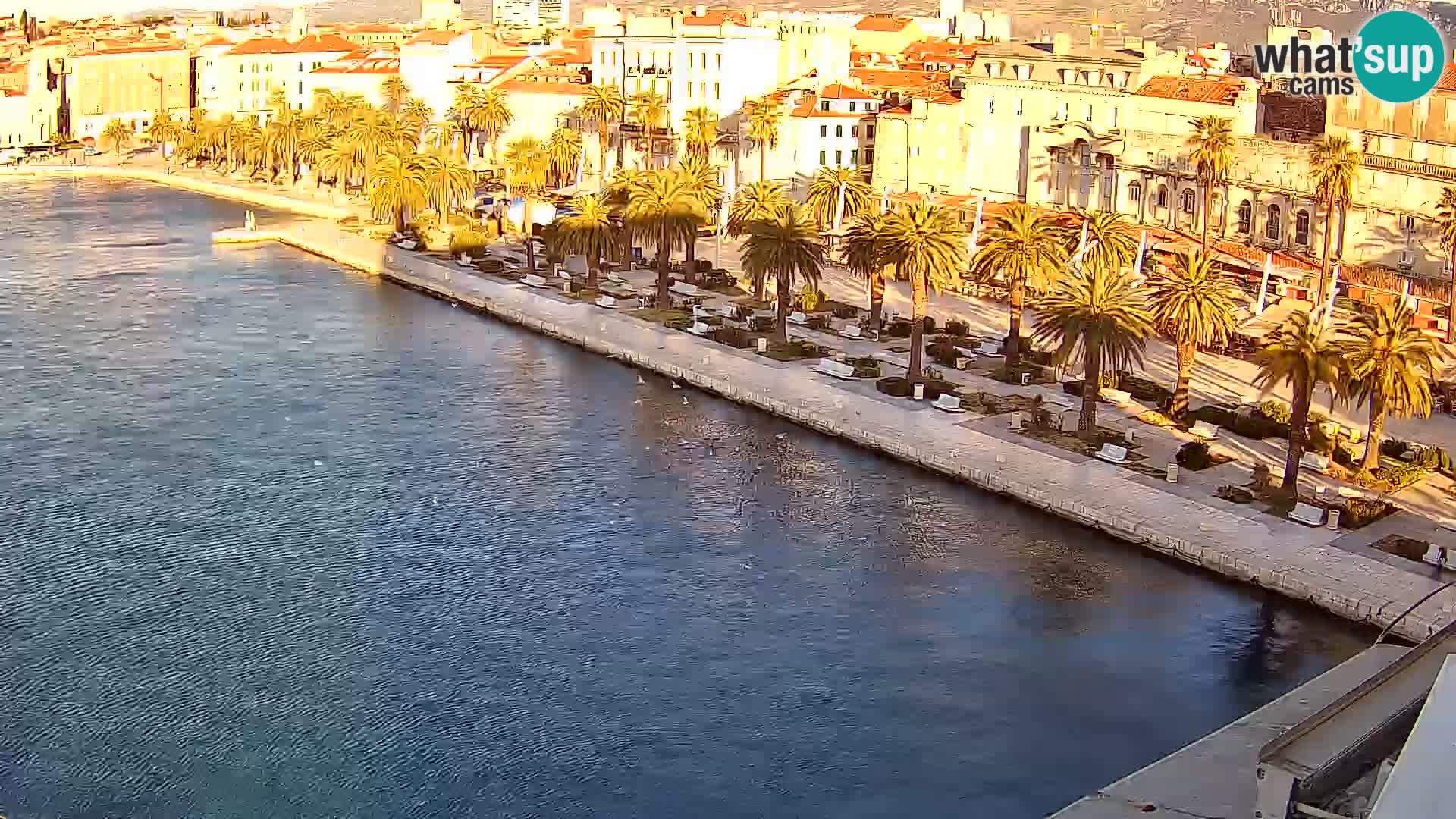 Kamera v živo Split  riva in pristanišče