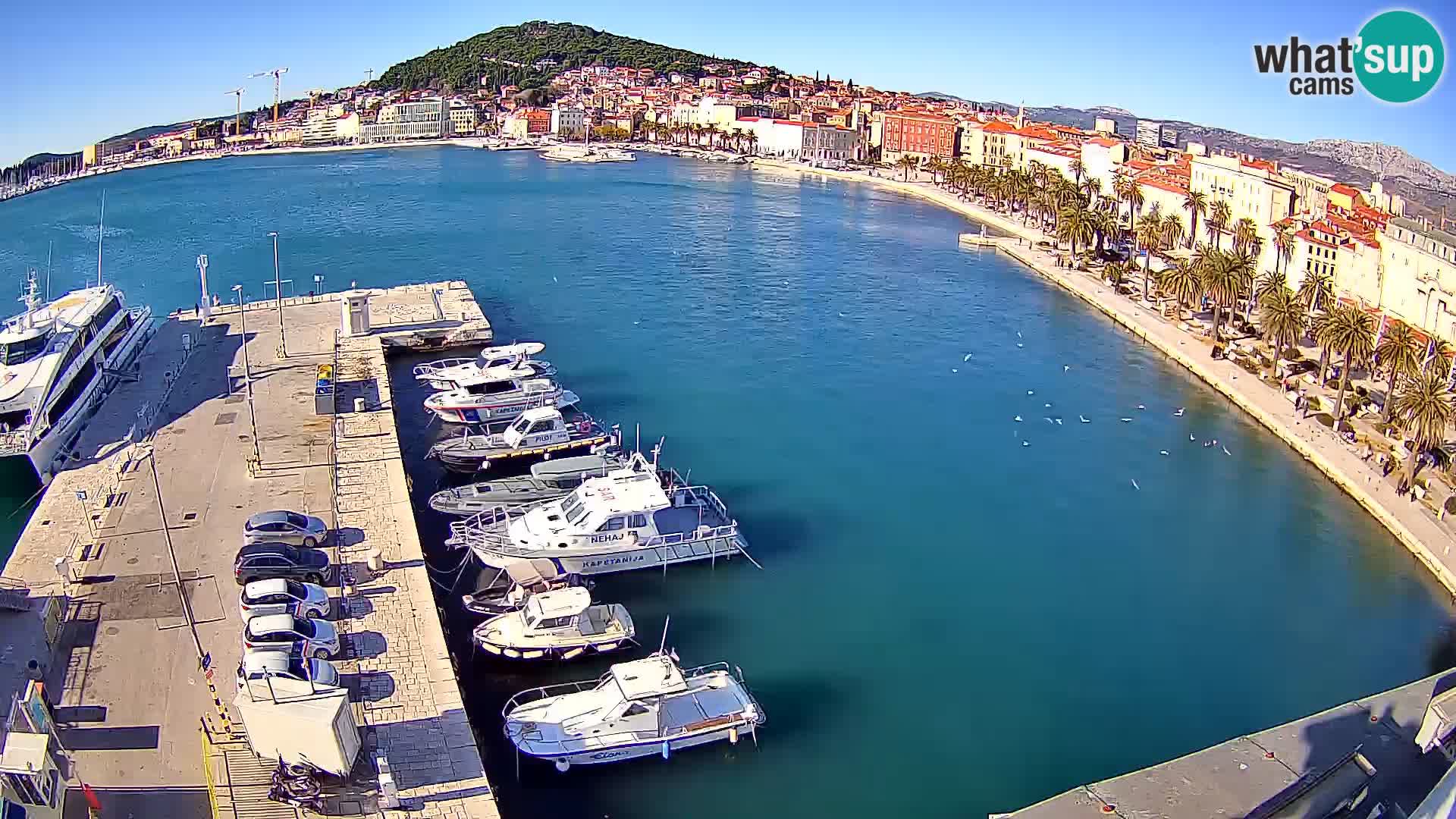 Panorama Split webcam Riva