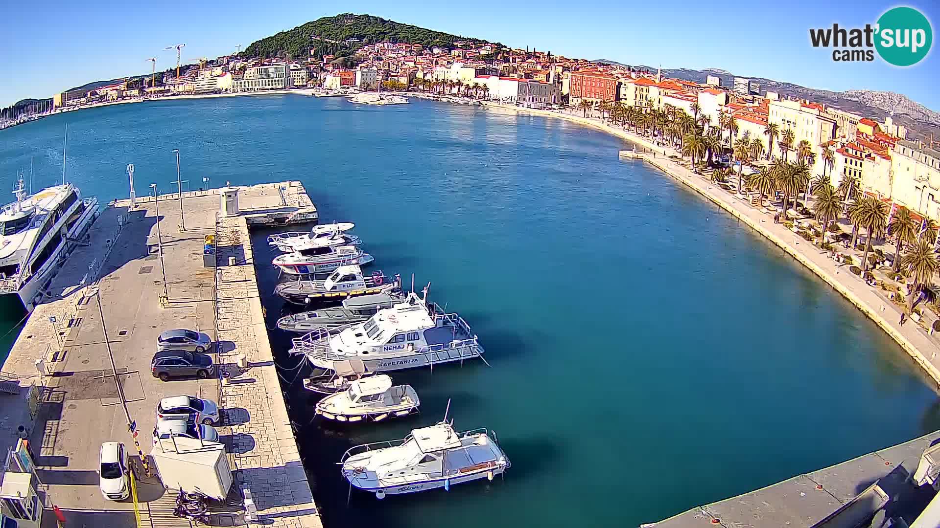 Split v živo panoramska kamera