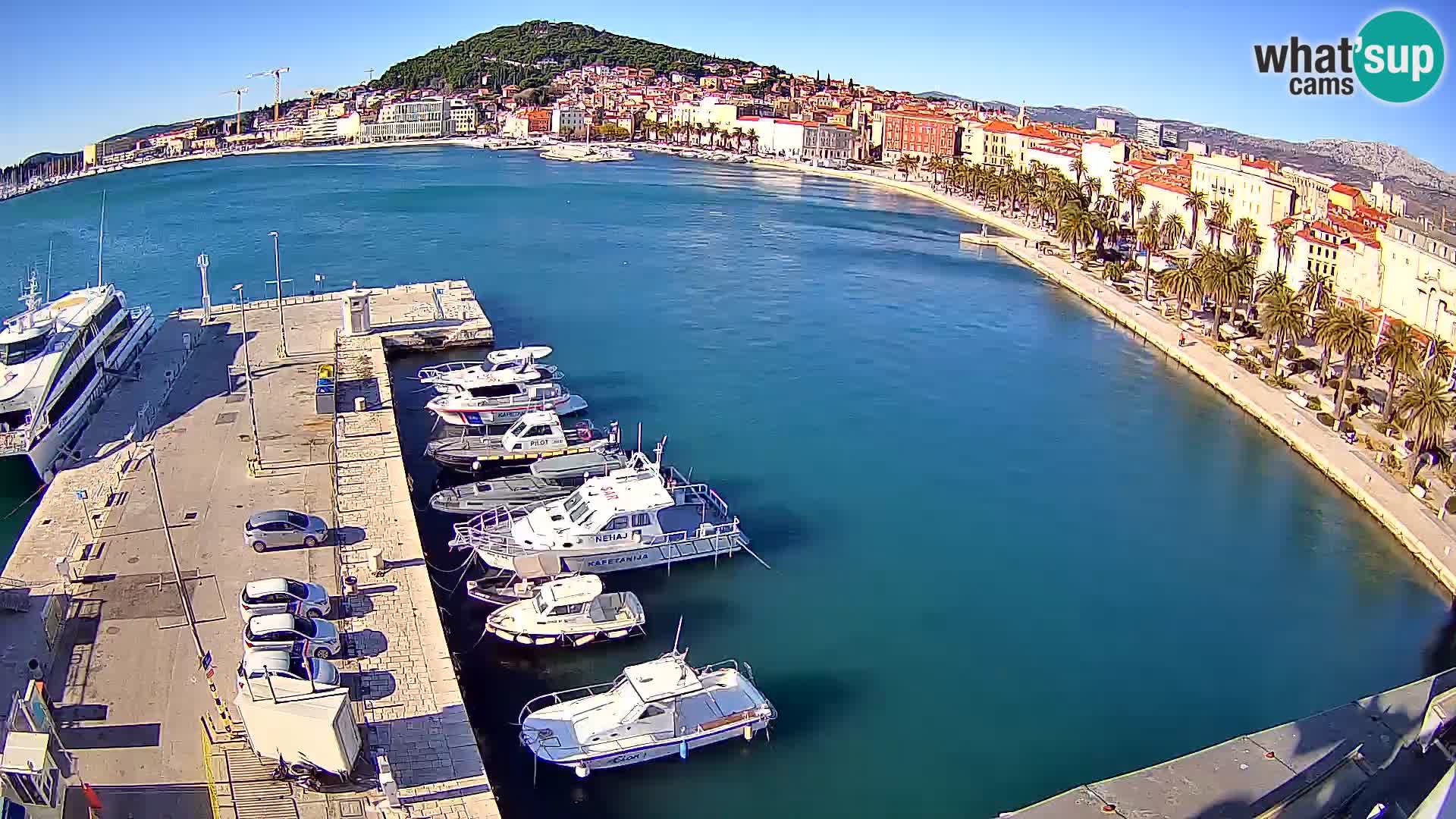 Split panorama en vivo